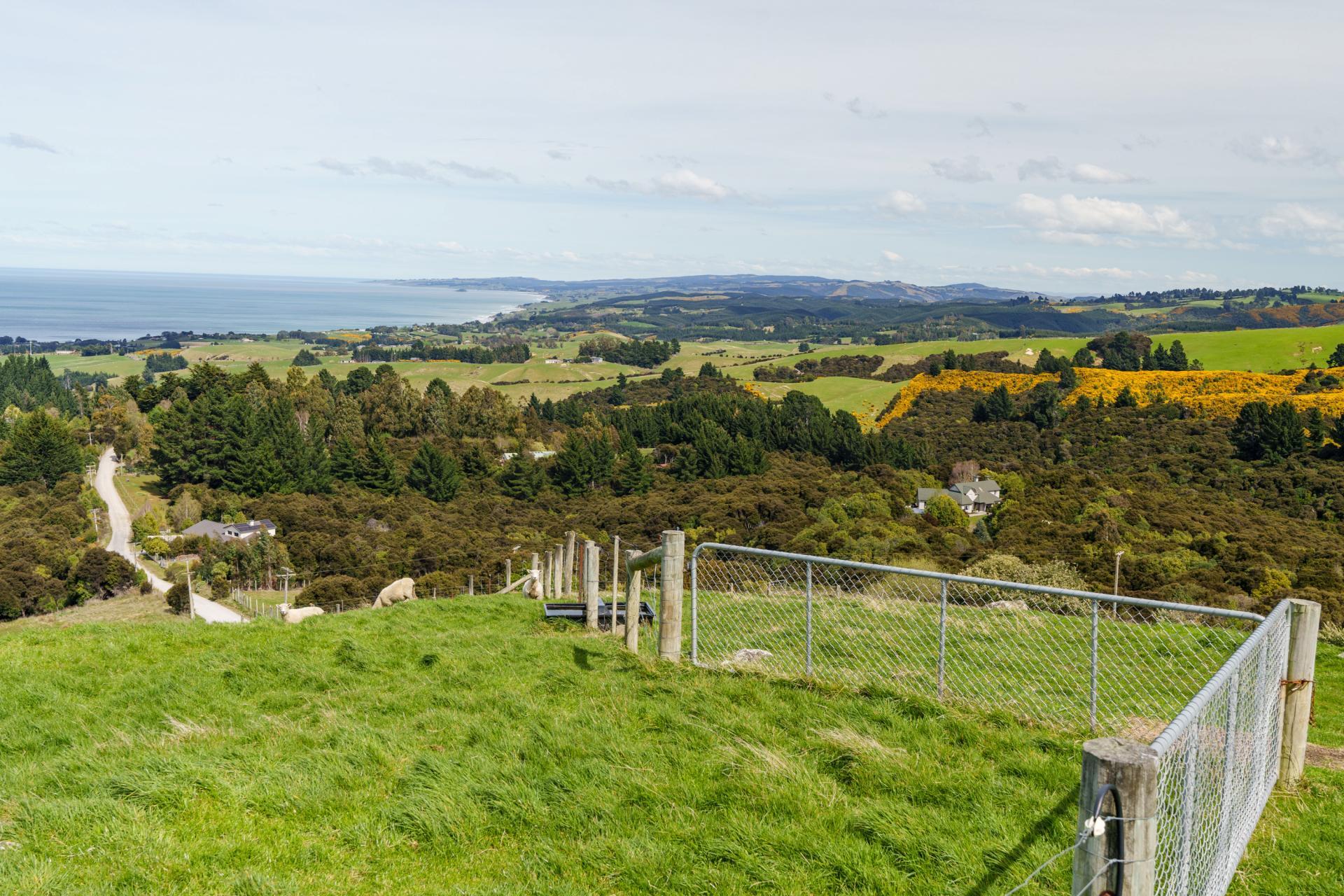 351 Saddle Hill Road, Scroggs Hill