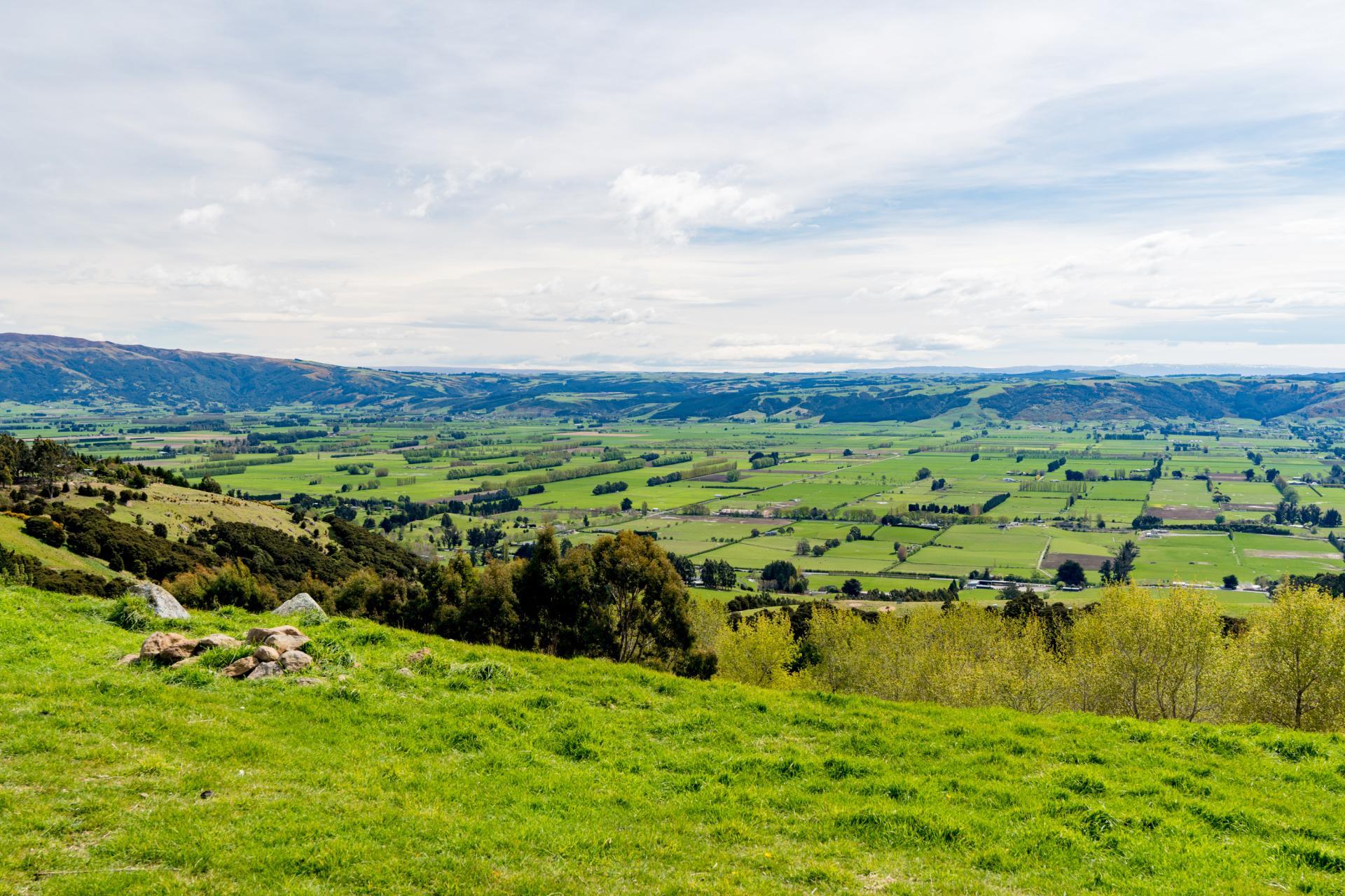 351 Saddle Hill Road, Scroggs Hill