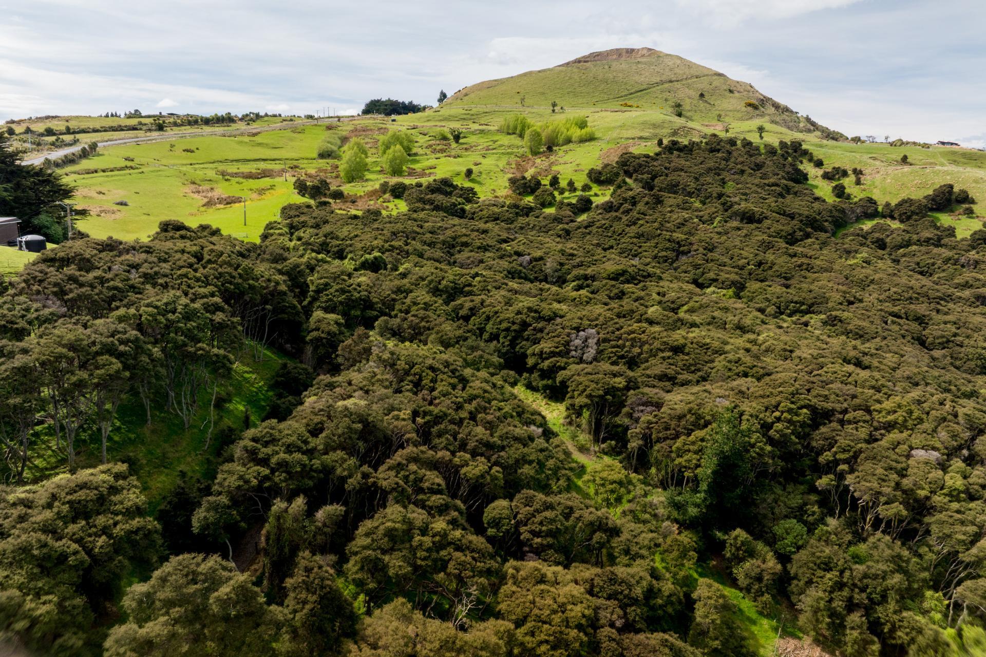 351 Saddle Hill Road, Scroggs Hill