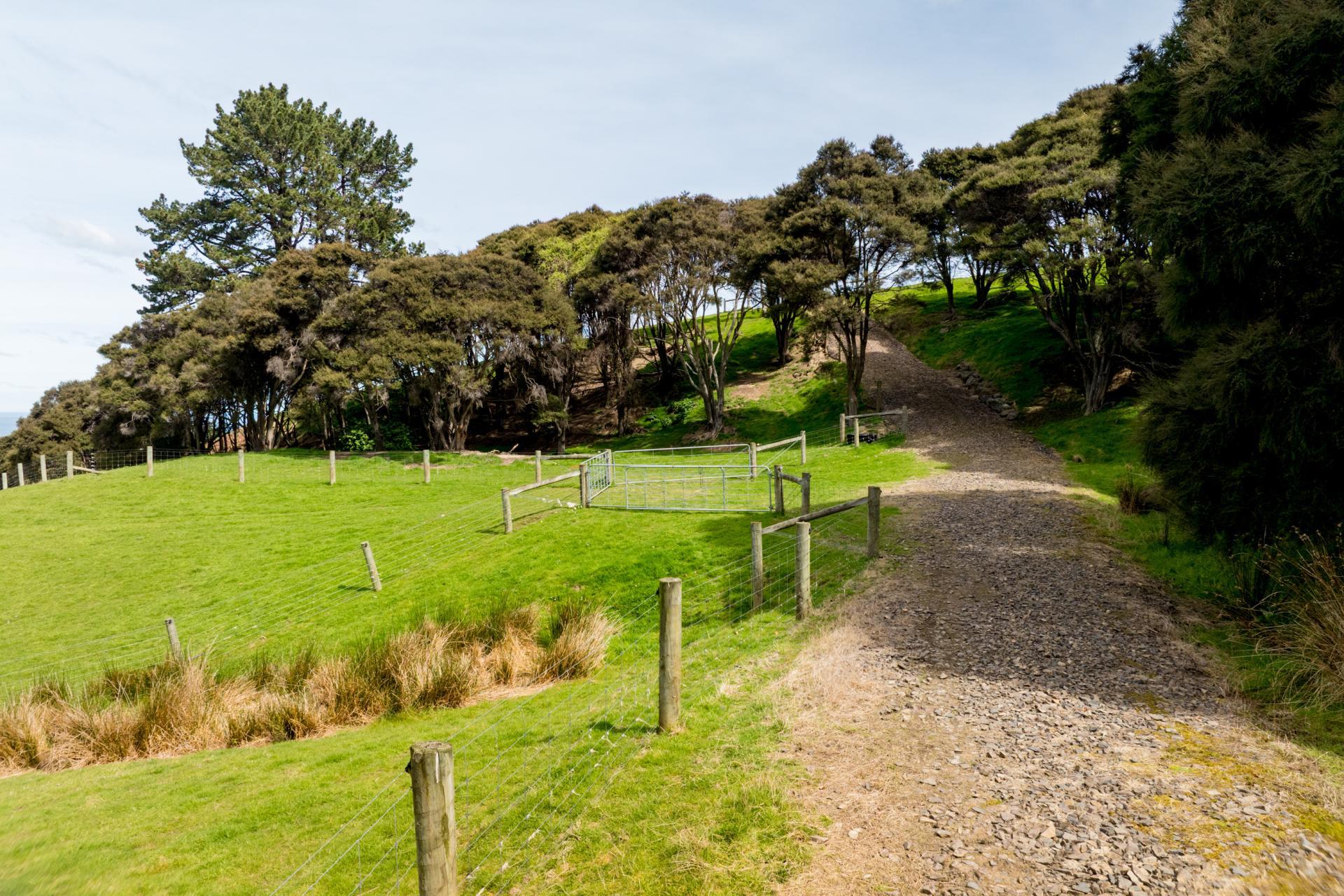 351 Saddle Hill Road, Scroggs Hill