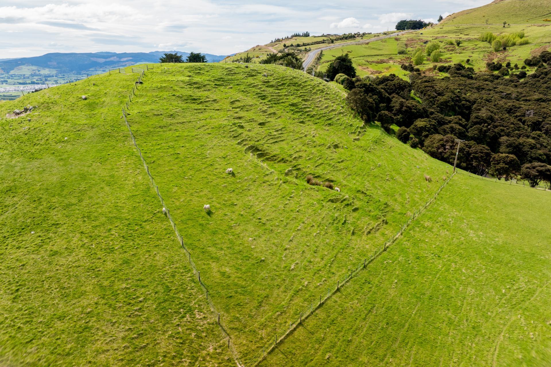 351 Saddle Hill Road, Scroggs Hill