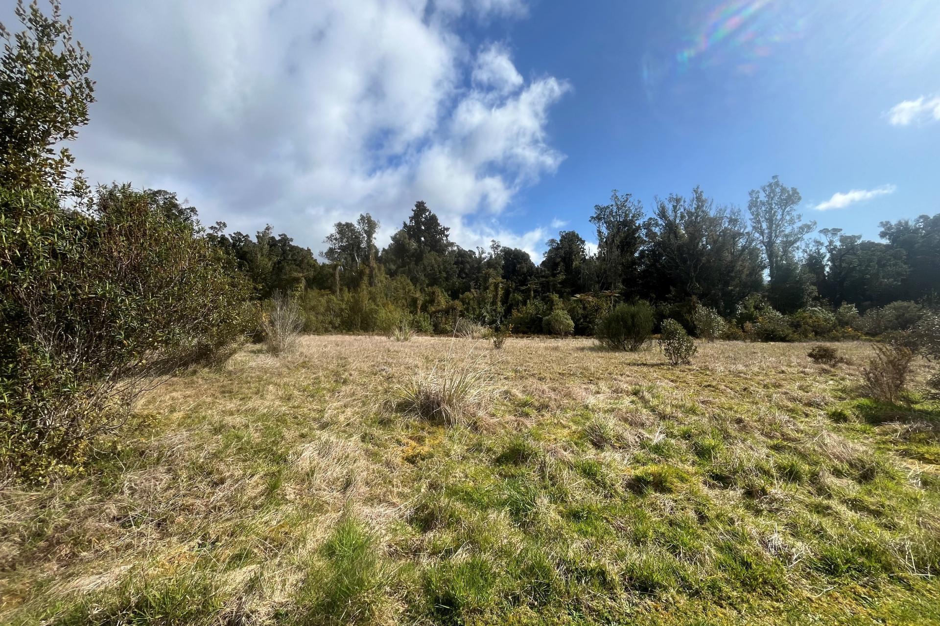 14 Pioneer Drive, Franz Josef Glacier