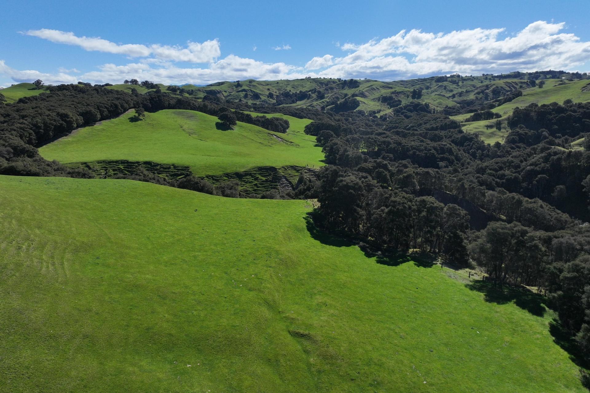 2829 Puketitiri Road, Patoka