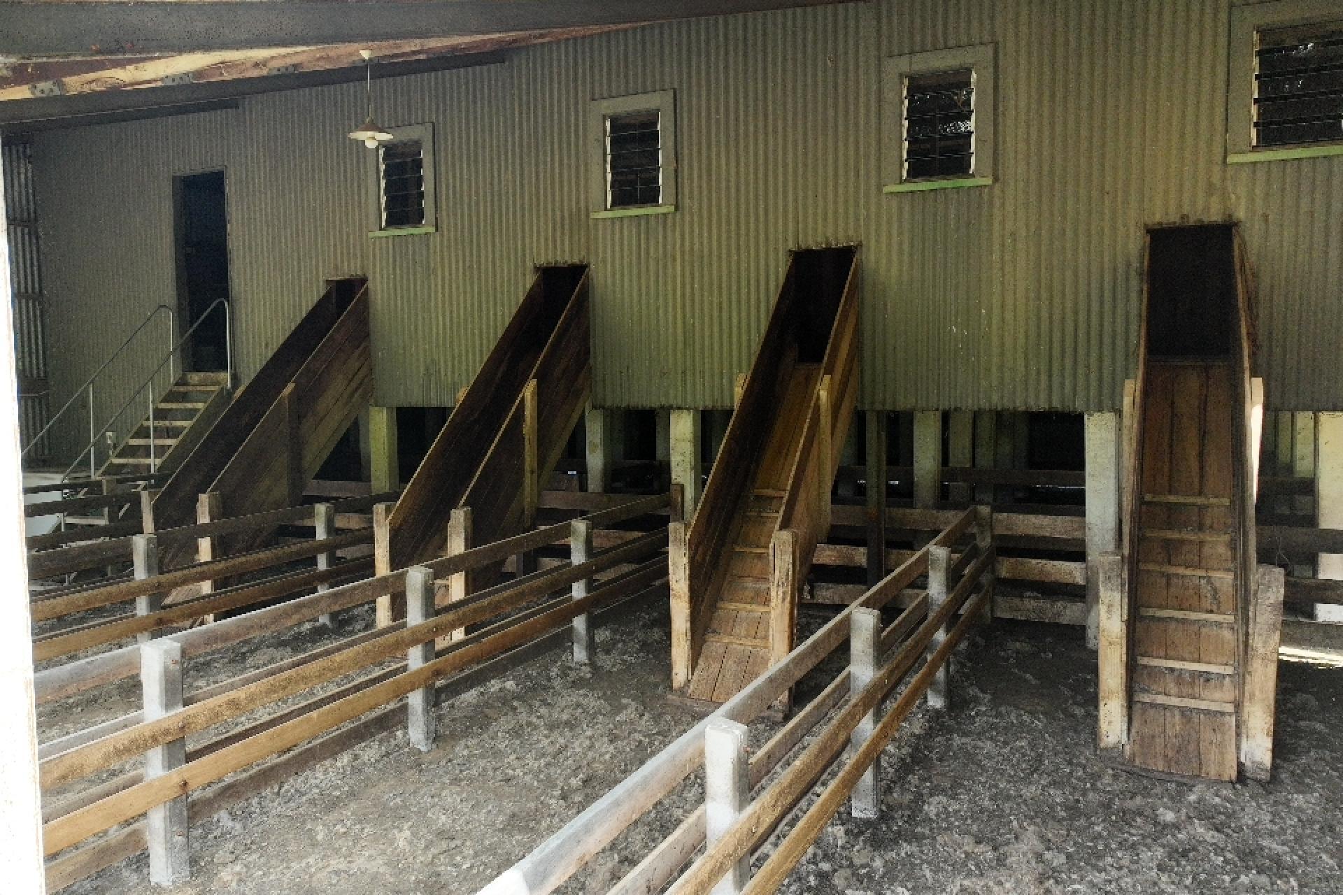 2829 Puketitiri Road, Patoka