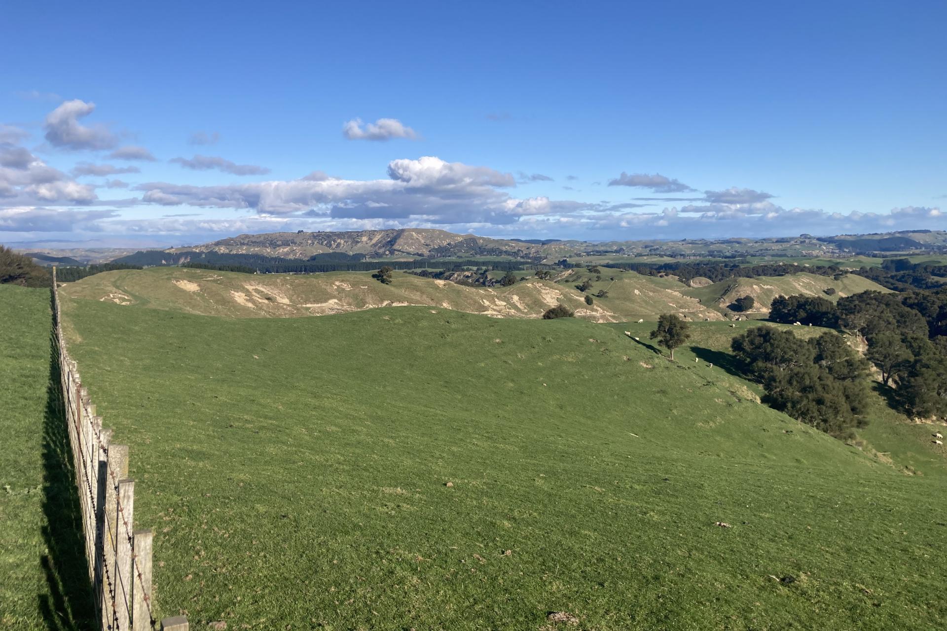 2829 Puketitiri Road, Patoka