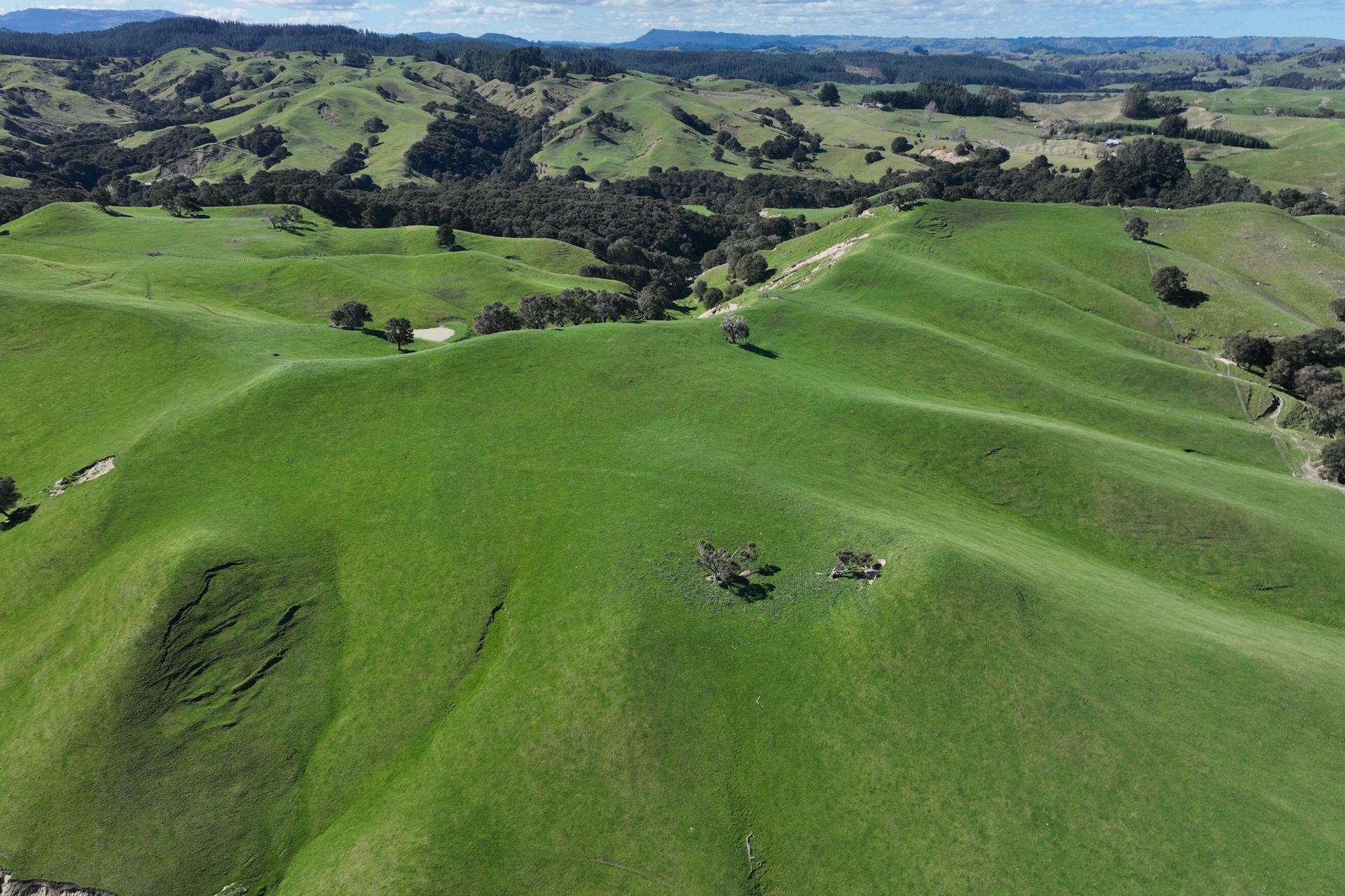 2829 Puketitiri Road, Patoka