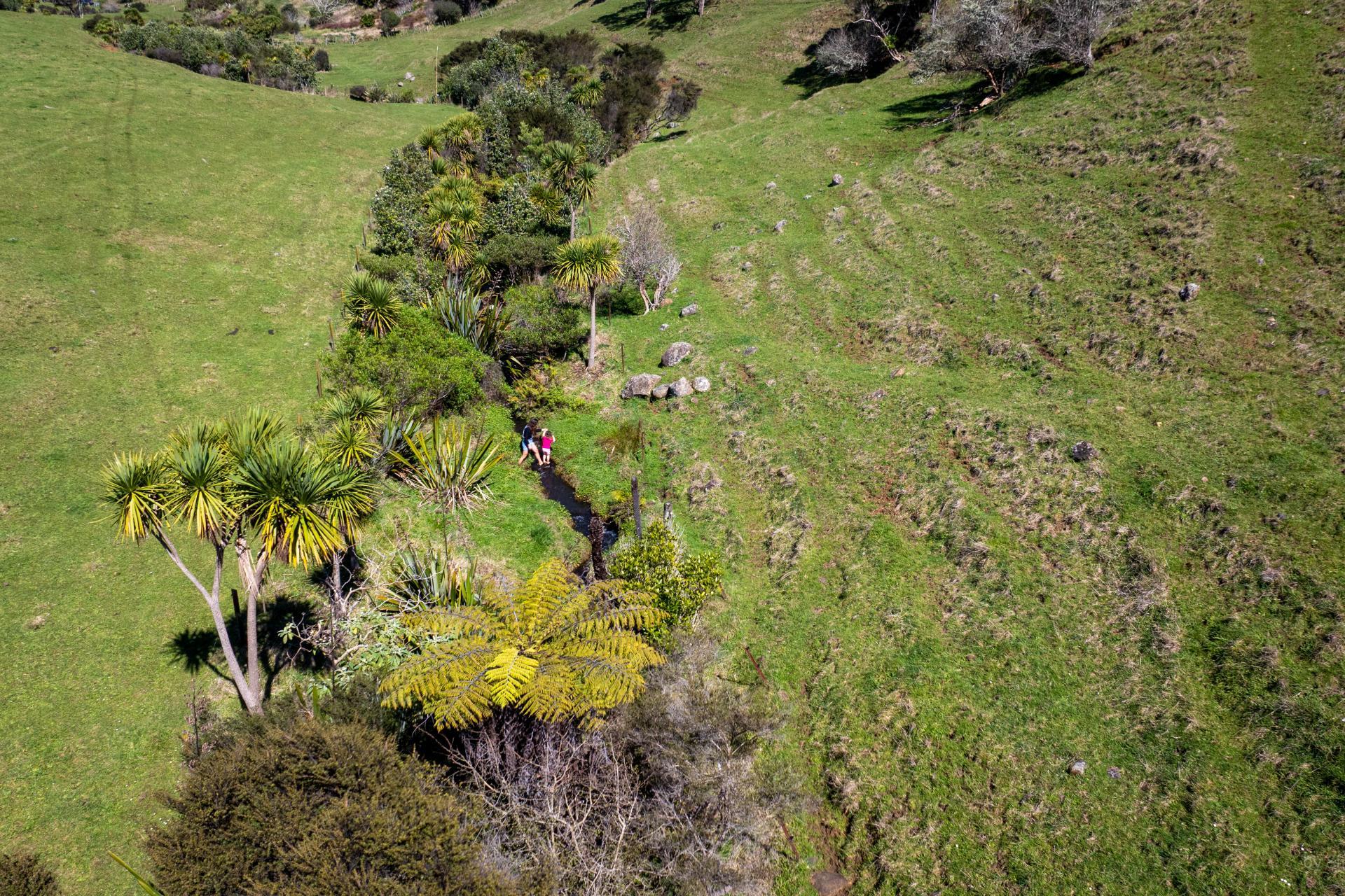 459 Wainui Road, Raglan