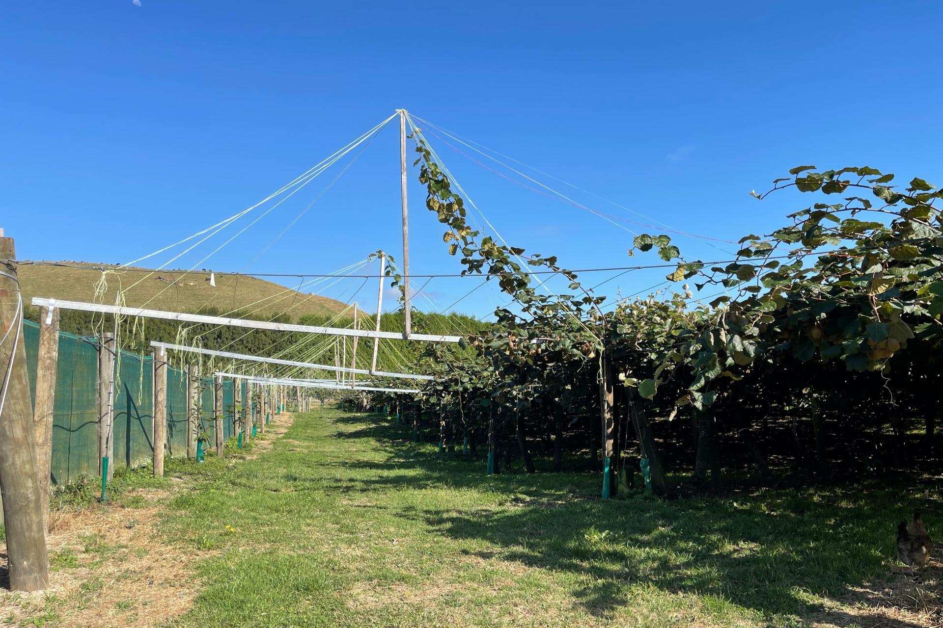 155 Mystery Valley Road, Paengaroa