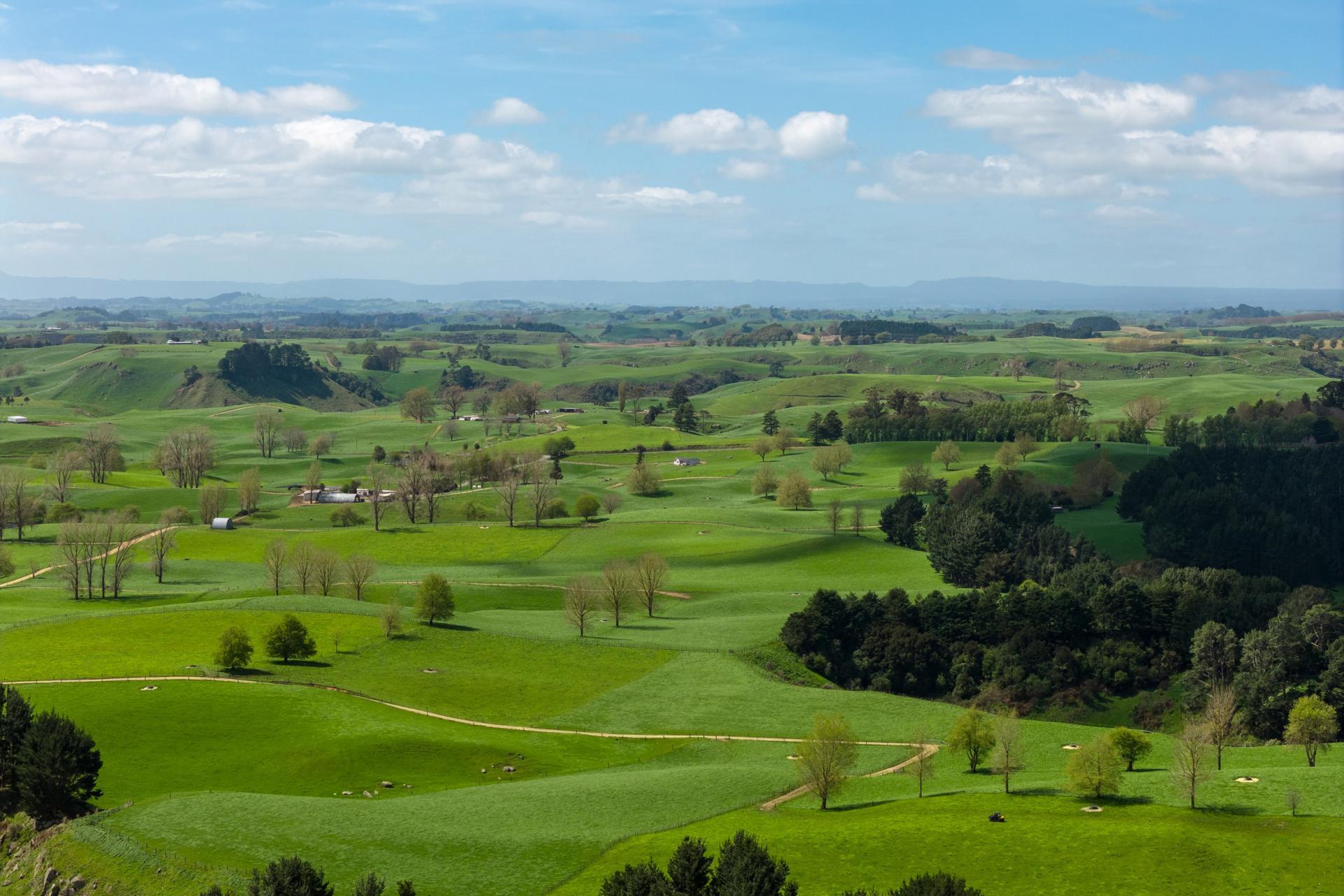 318 Aotearoa Road, Wharepapa South