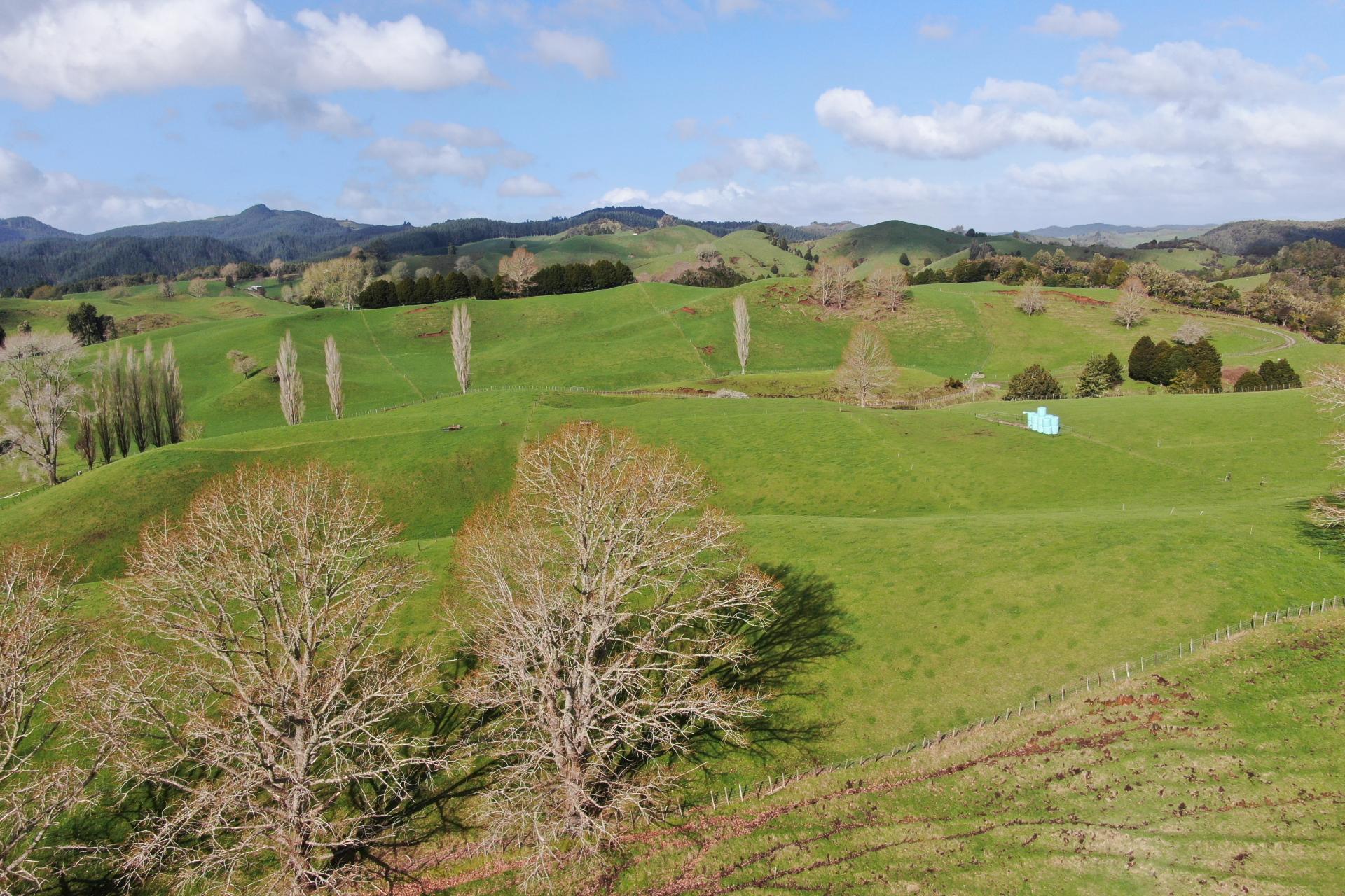 1891 Ohura Mokau Road, Piopio