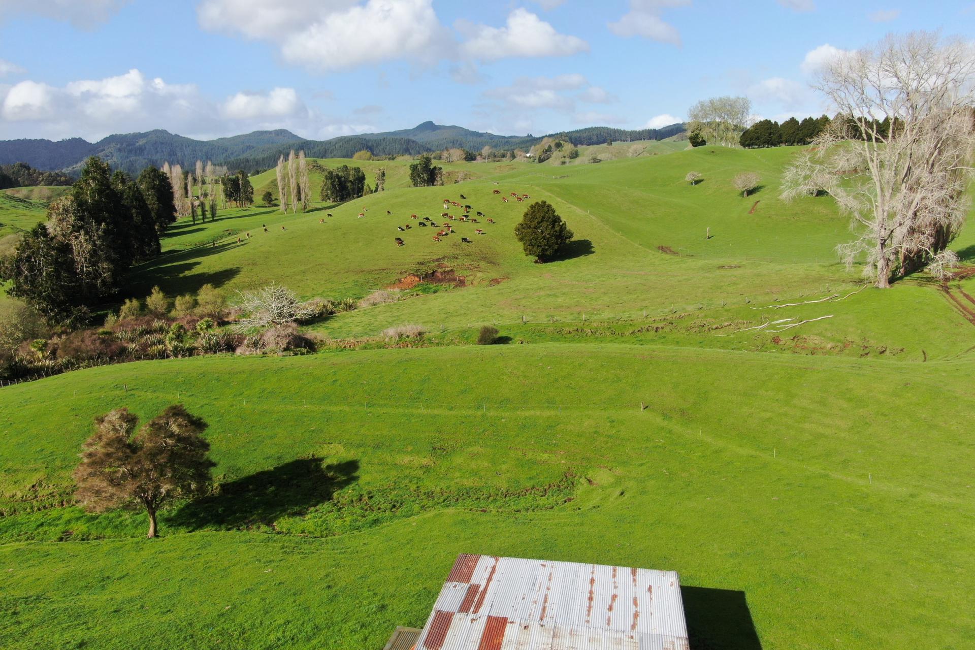 1891 Ohura Mokau Road, Piopio