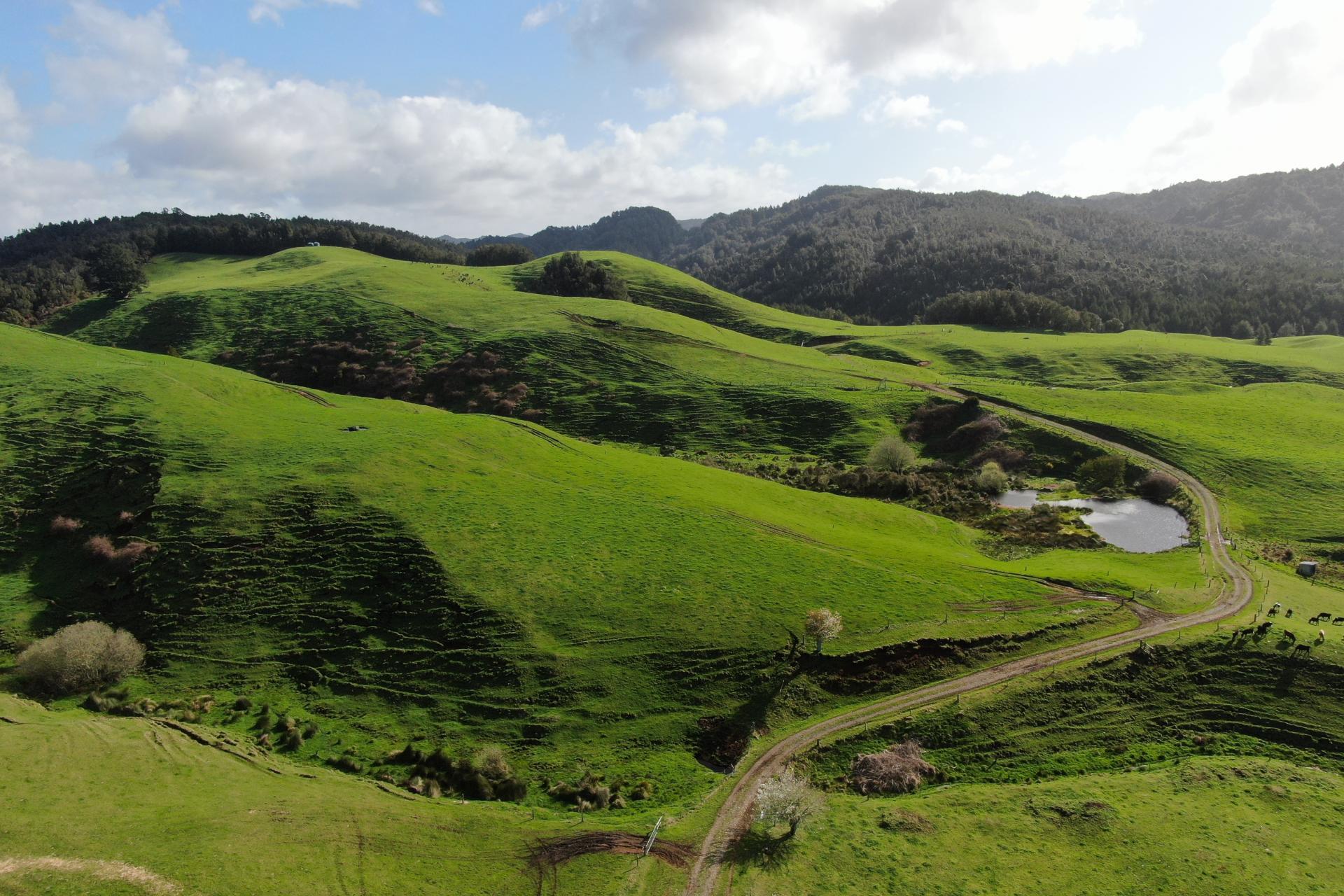 1891 Ohura Mokau Road, Piopio