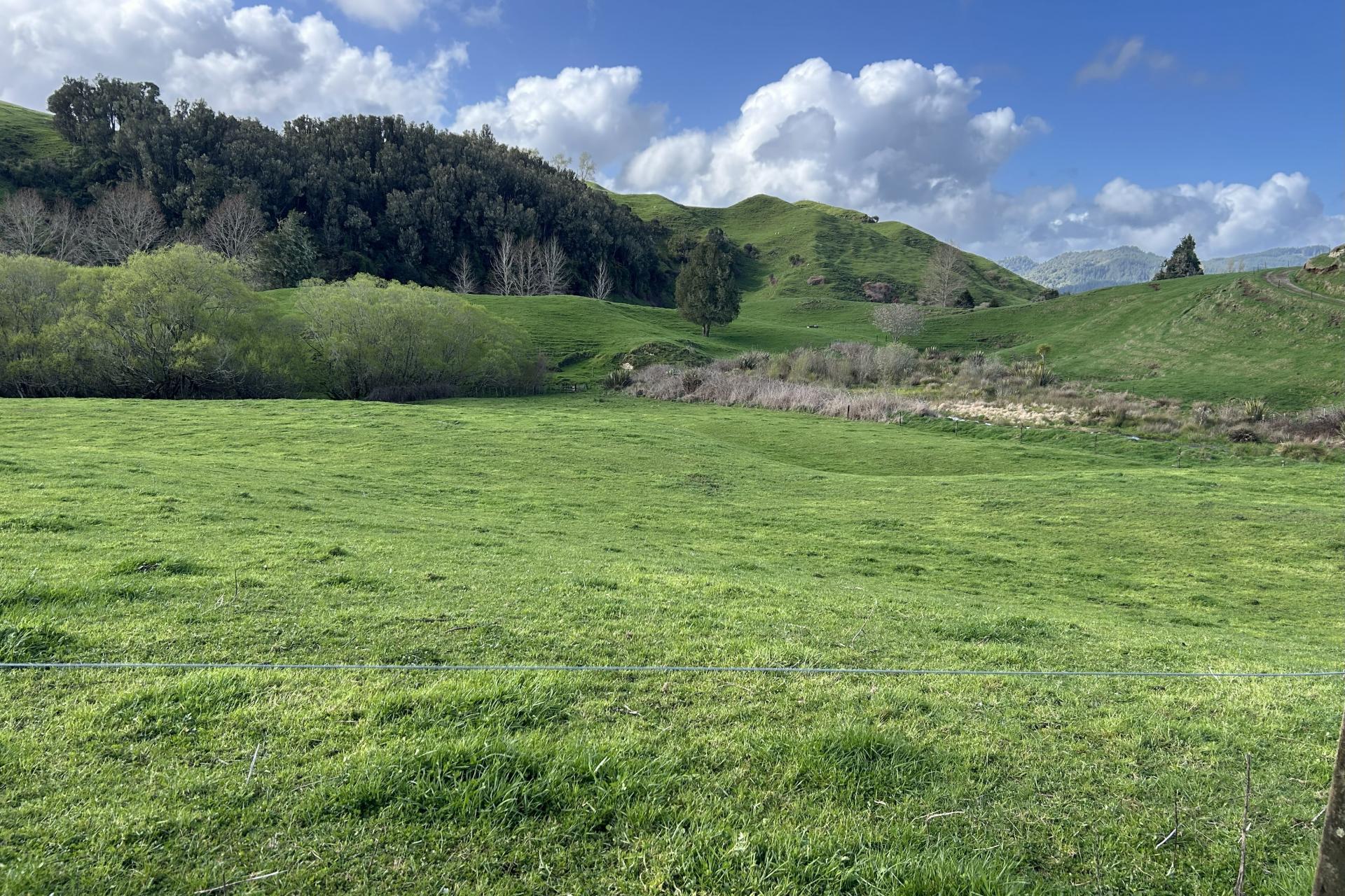 1891 Ohura Mokau Road, Piopio