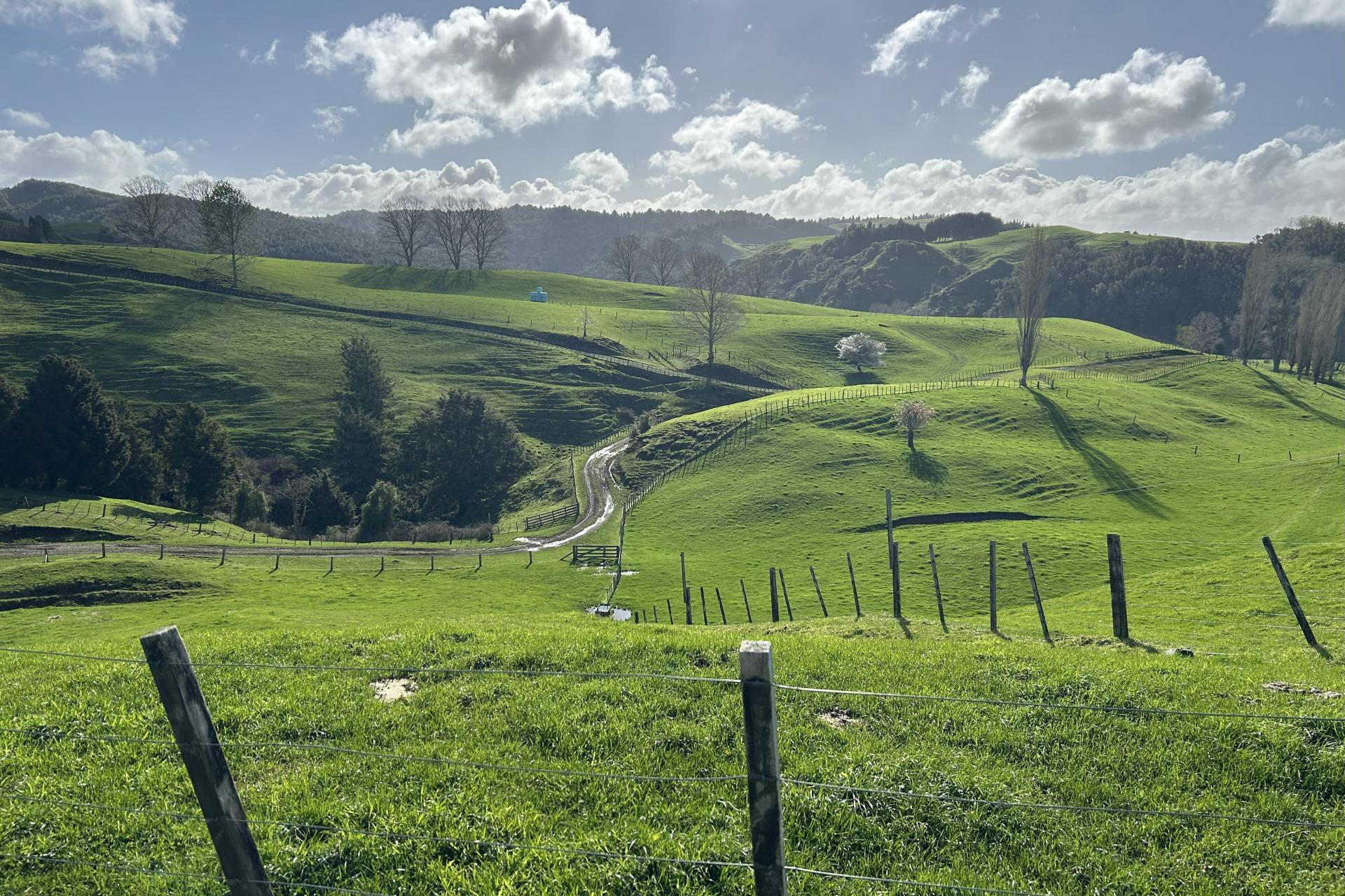 1891 Ohura Mokau Road, Piopio