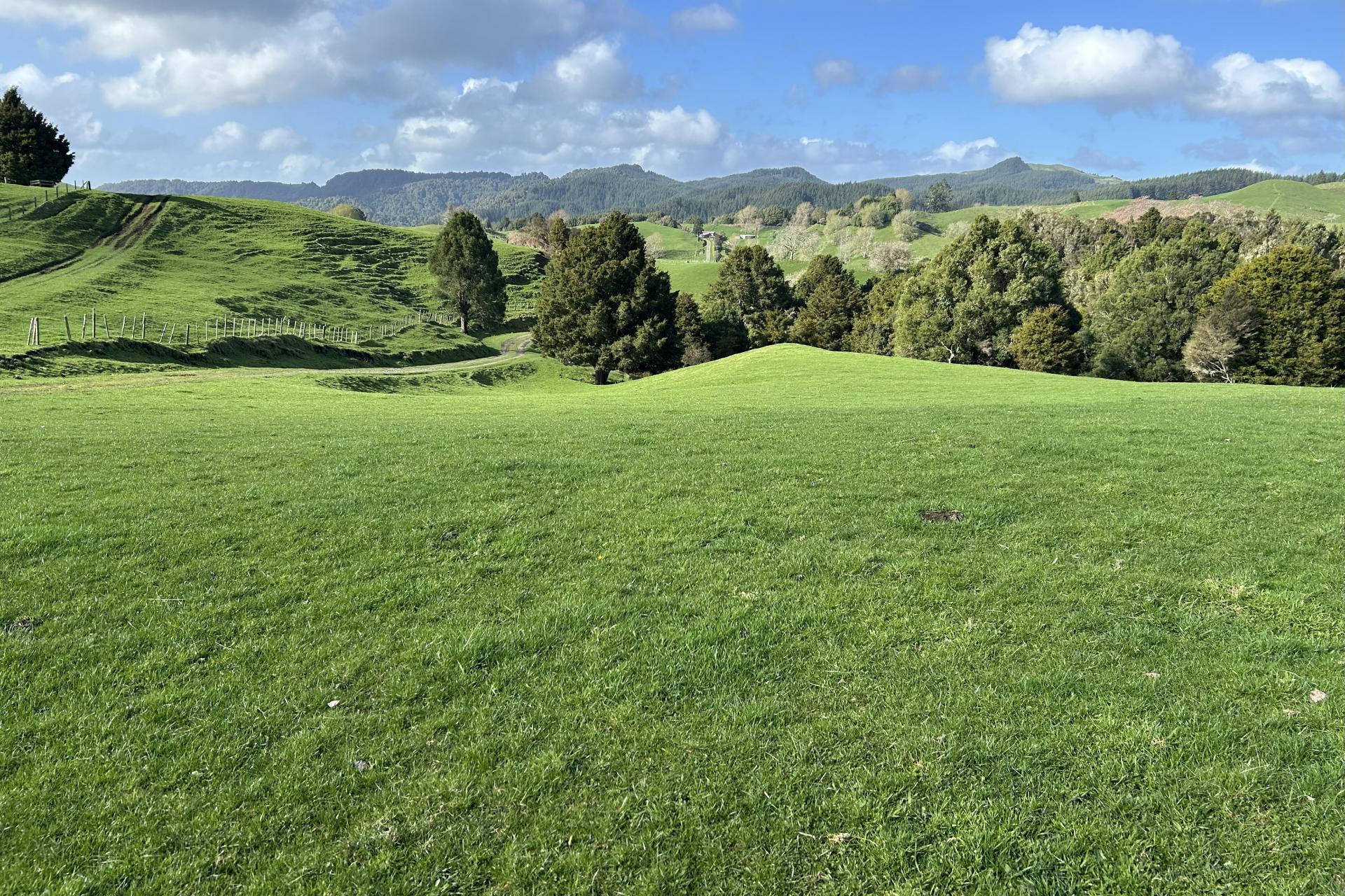 1891 Ohura Mokau Road, Piopio