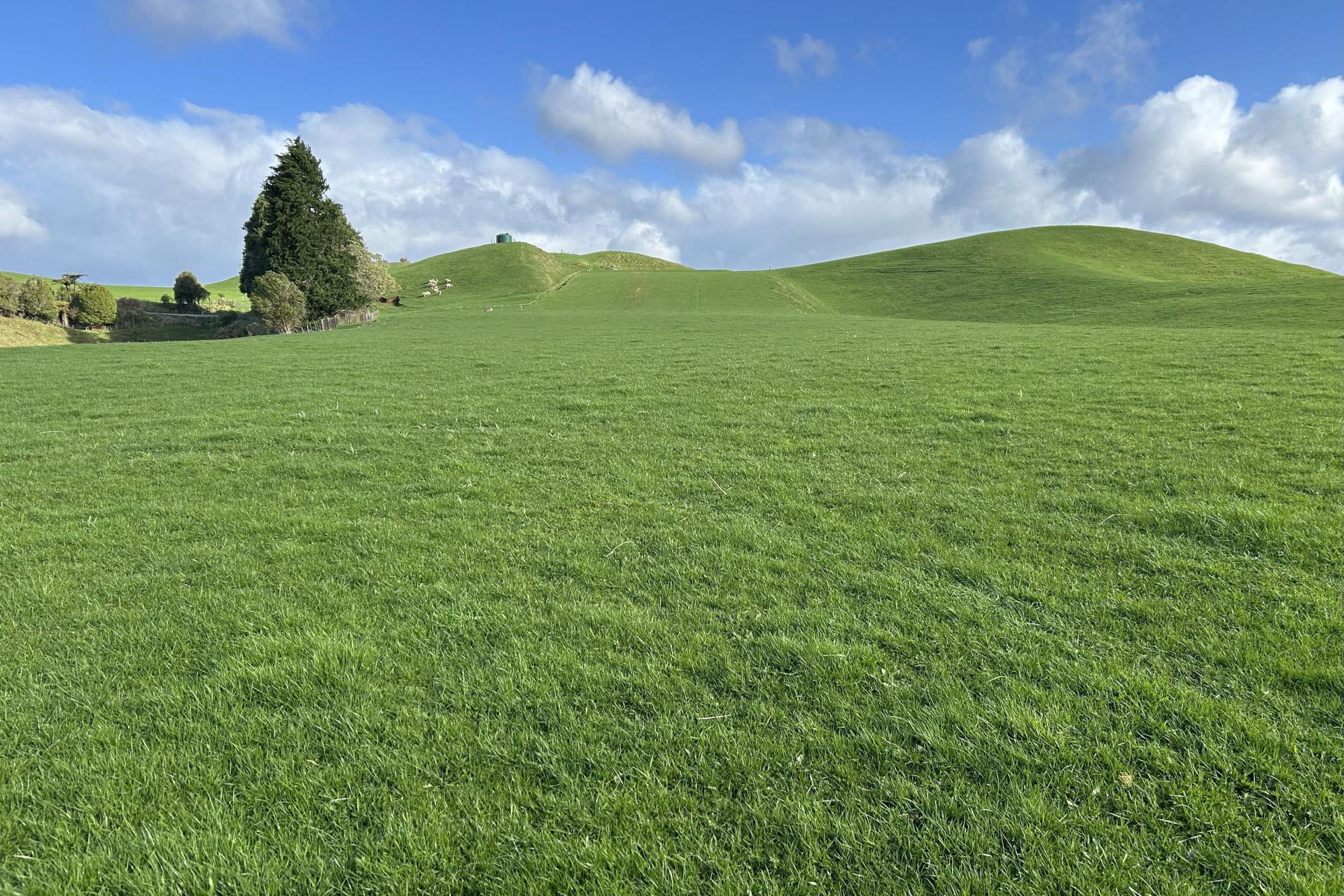 1891 Ohura Mokau Road, Piopio