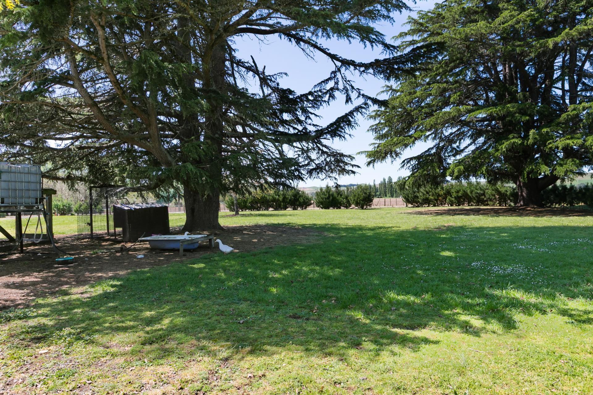 Unit 1, 3389 State Highway 2, Takapau