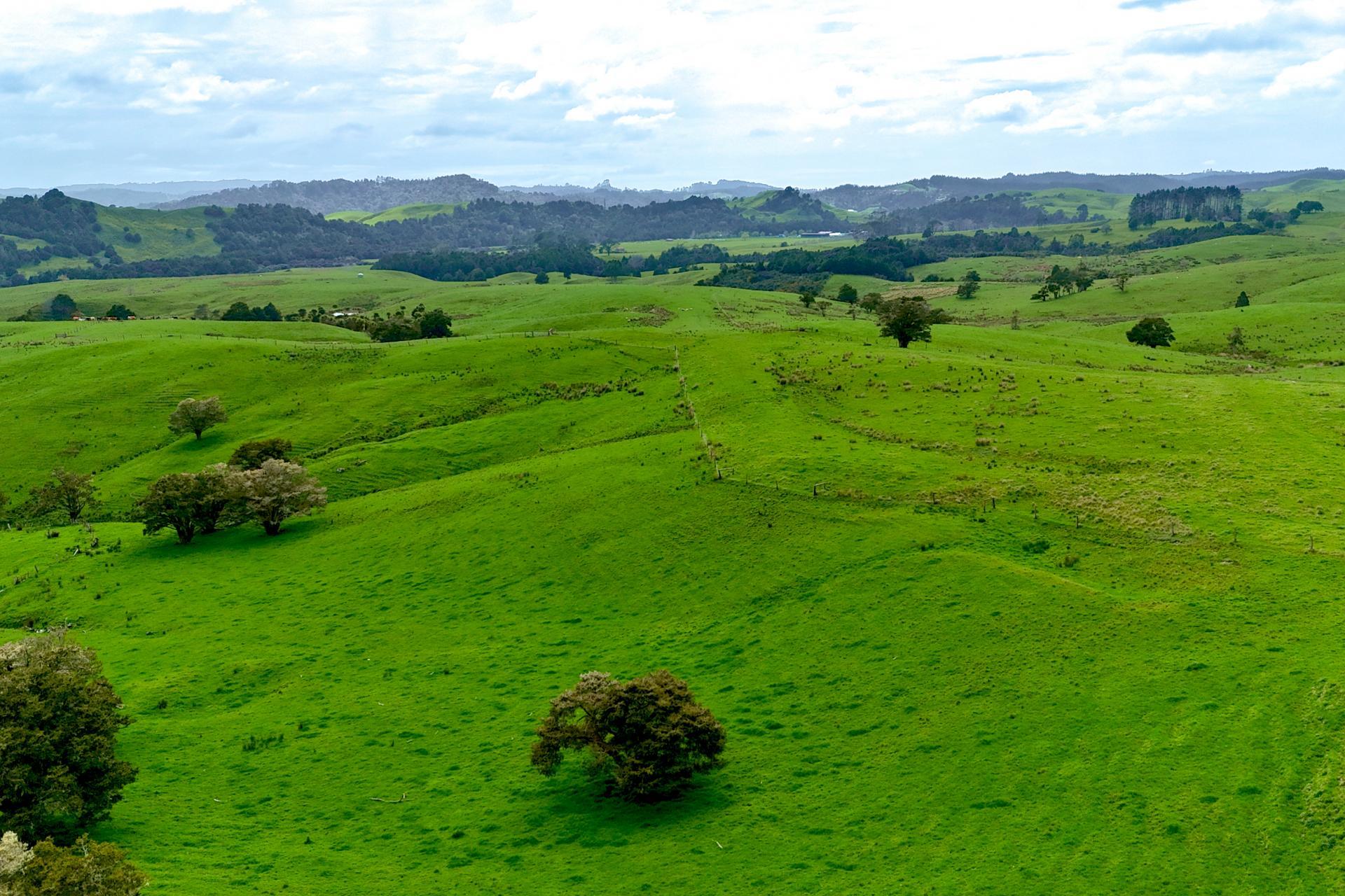 325 Haruru Road, Kaukapakapa