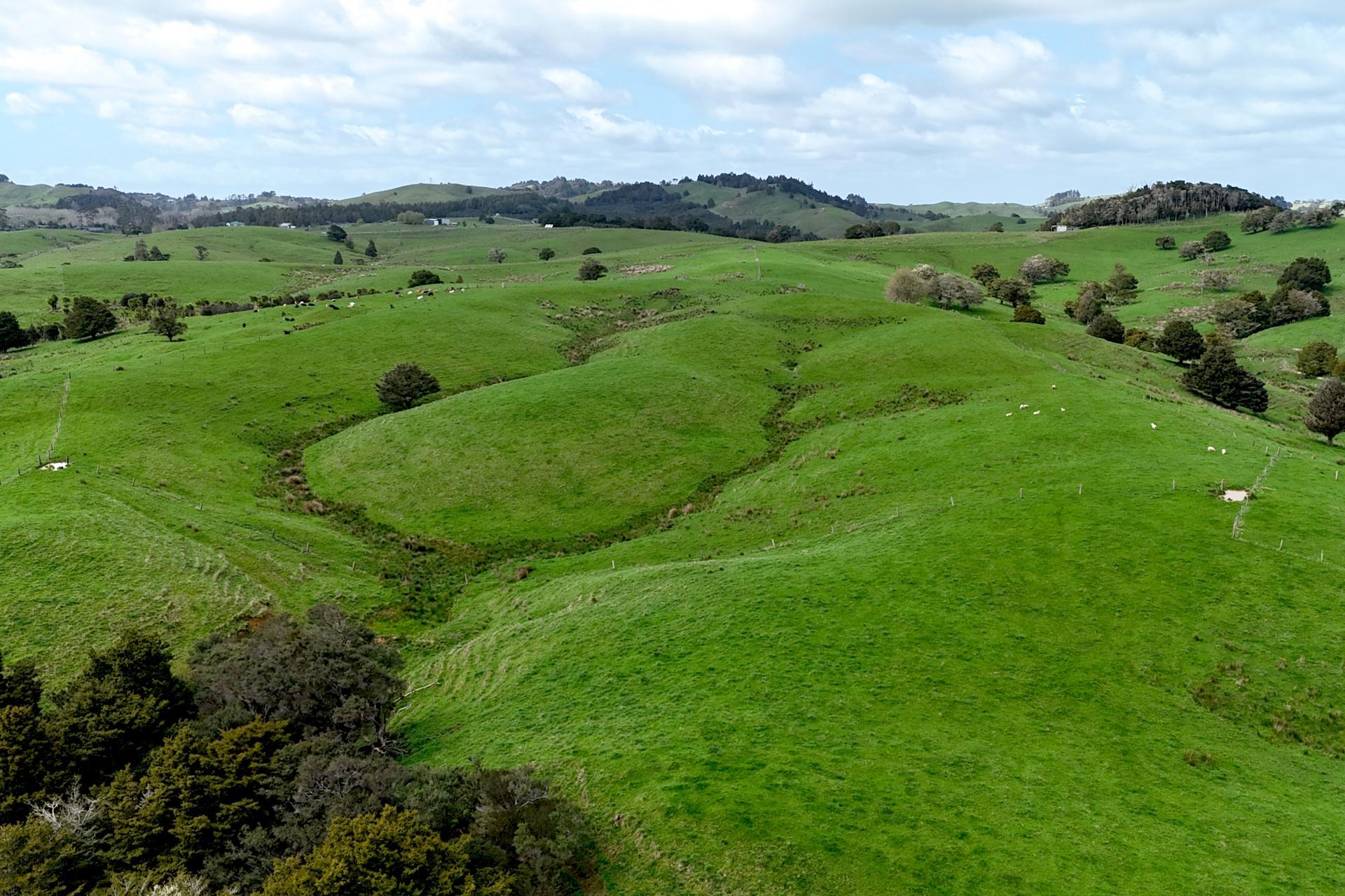 325 Haruru Road, Kaukapakapa