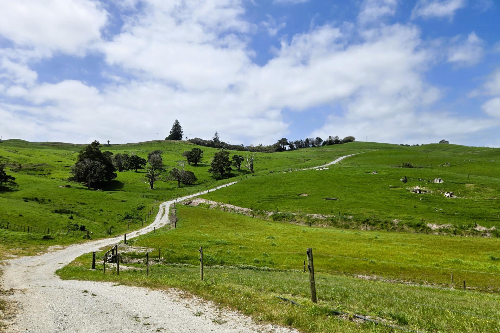 3050 Mititai Road, Dargaville