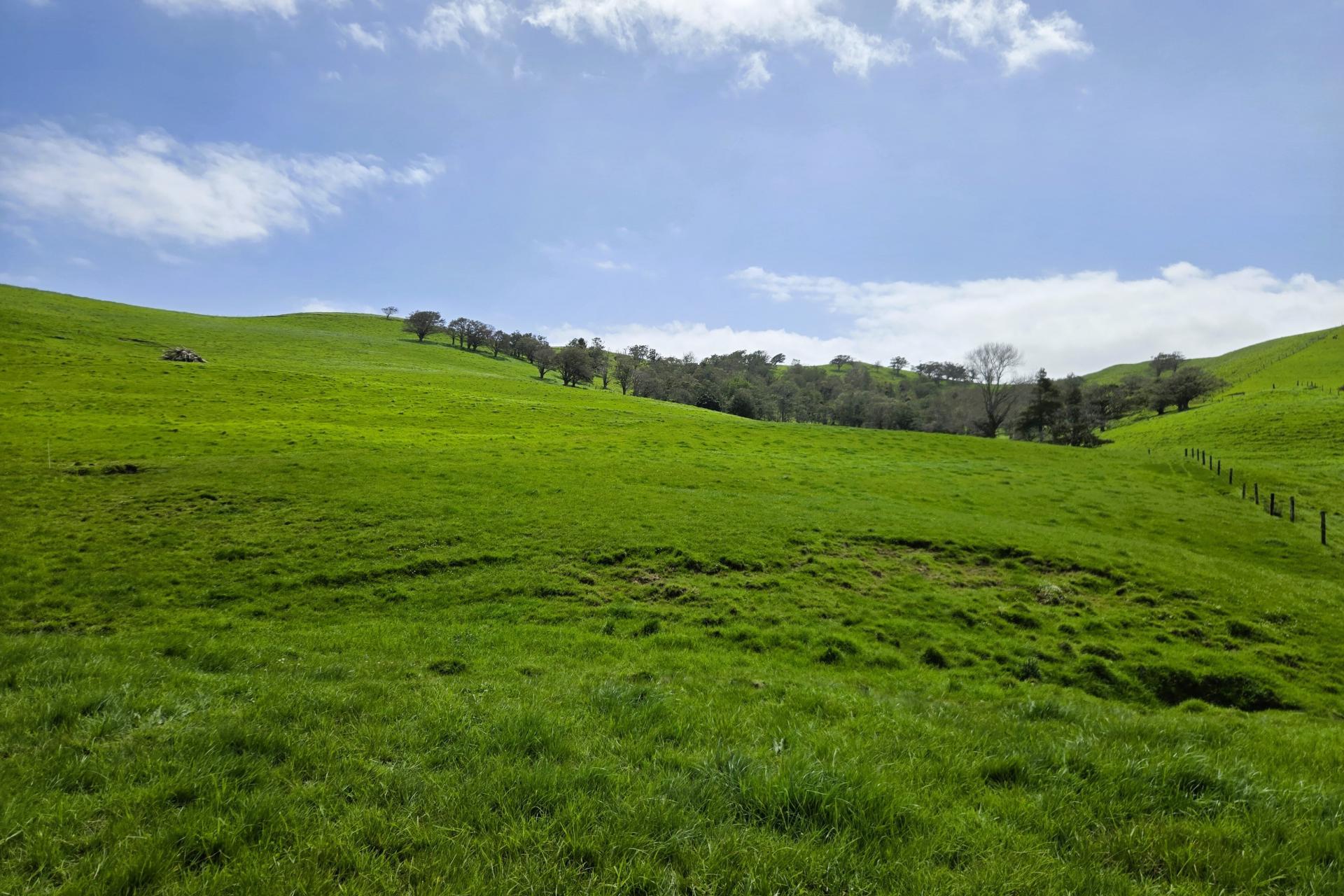 3050 Mititai Road, Dargaville