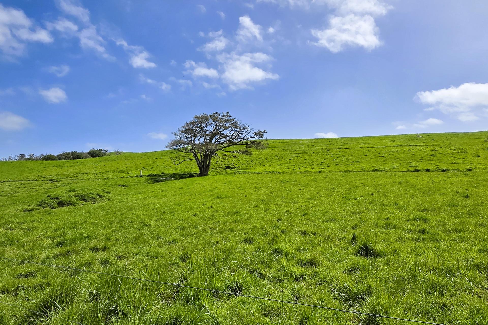 3050 Mititai Road, Dargaville