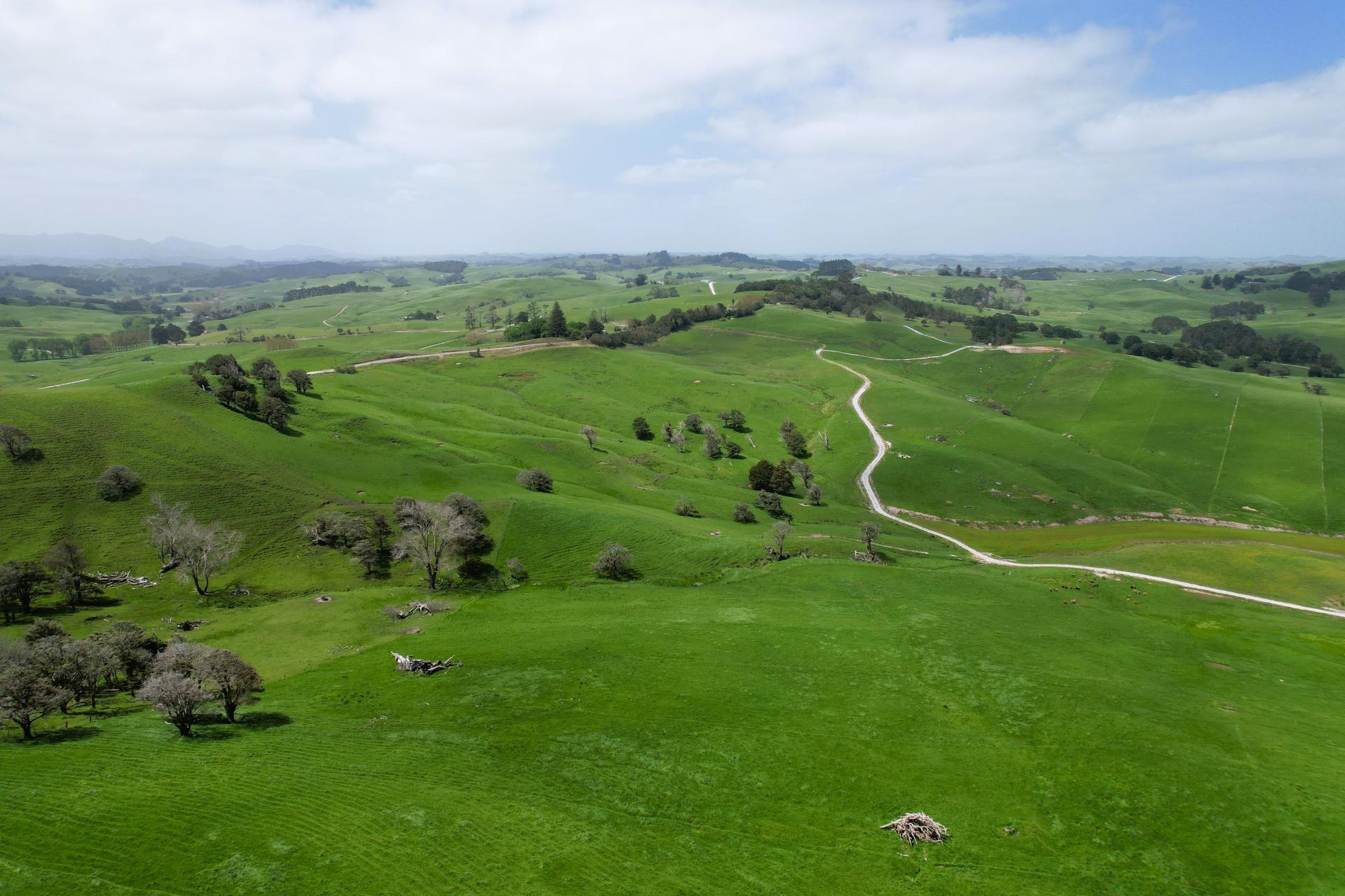 3050 Mititai Road, Dargaville