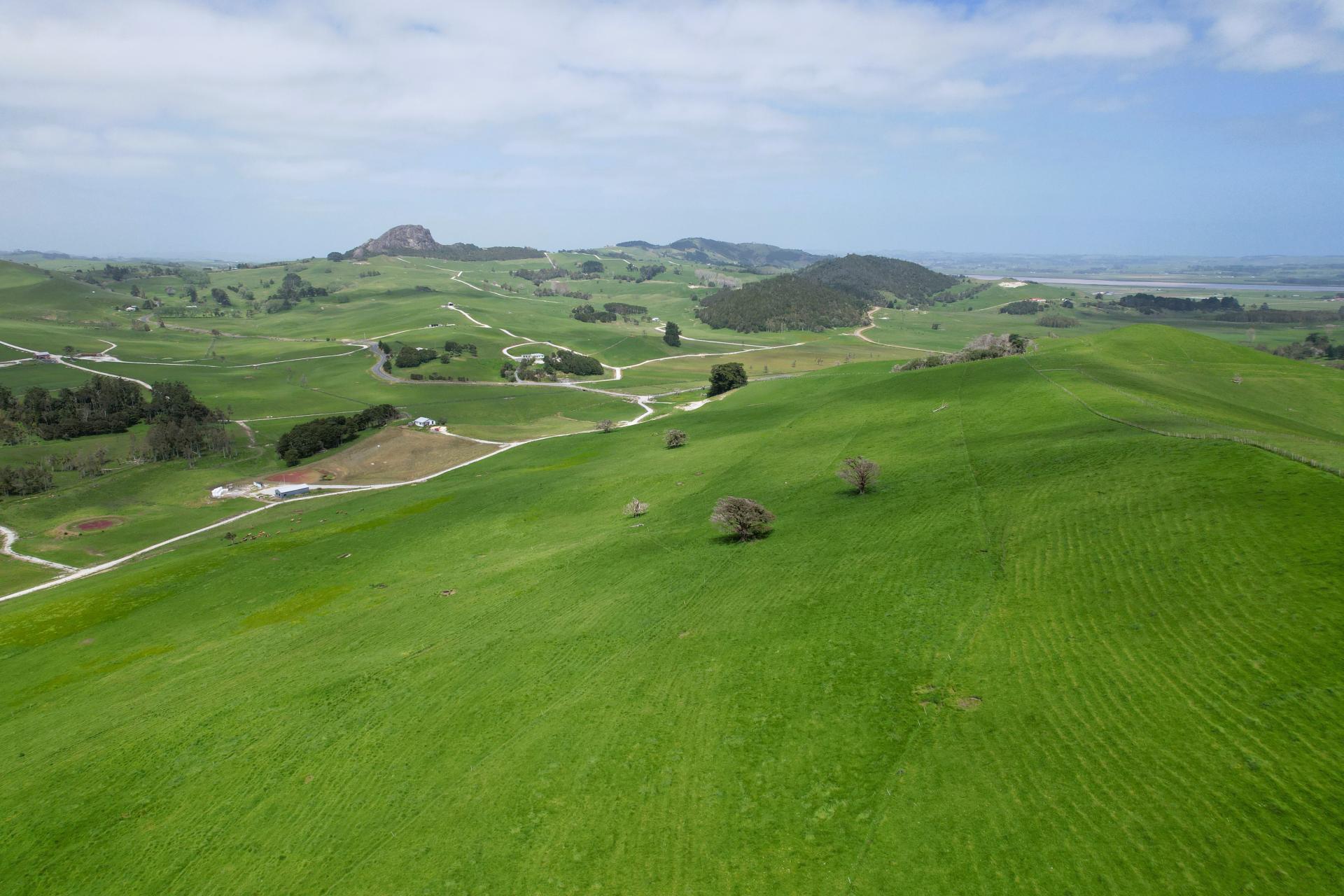 3050 Mititai Road, Dargaville