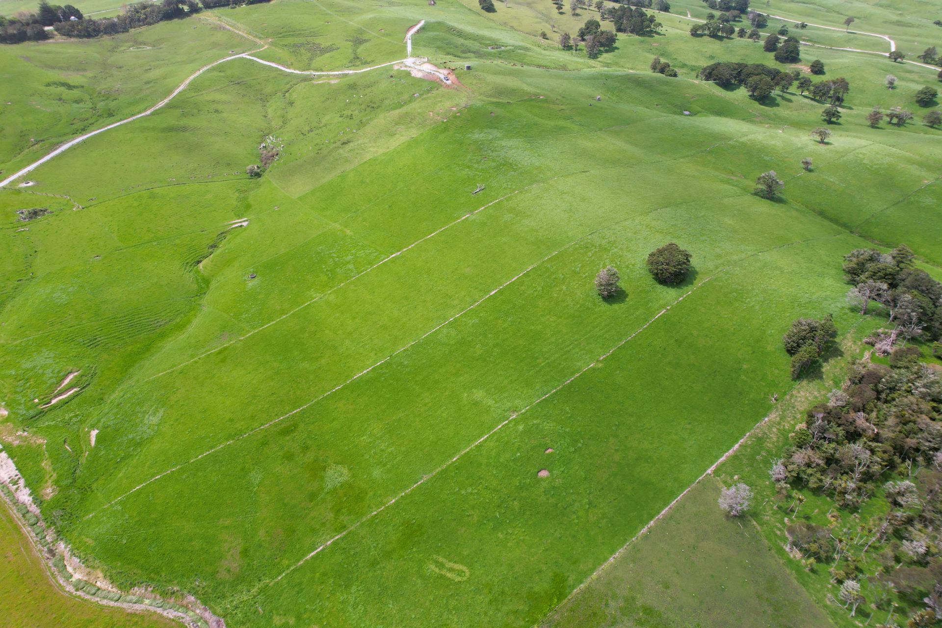 3050 Mititai Road, Dargaville