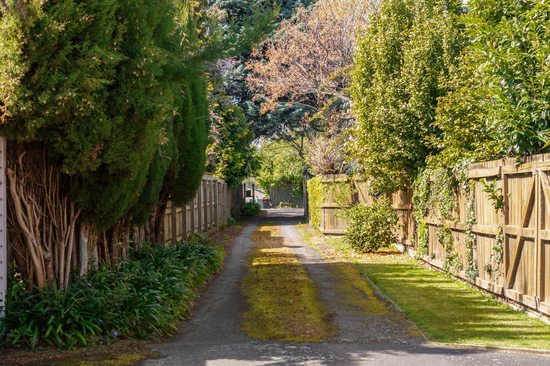 100A Maxwell Road, Blenheim
