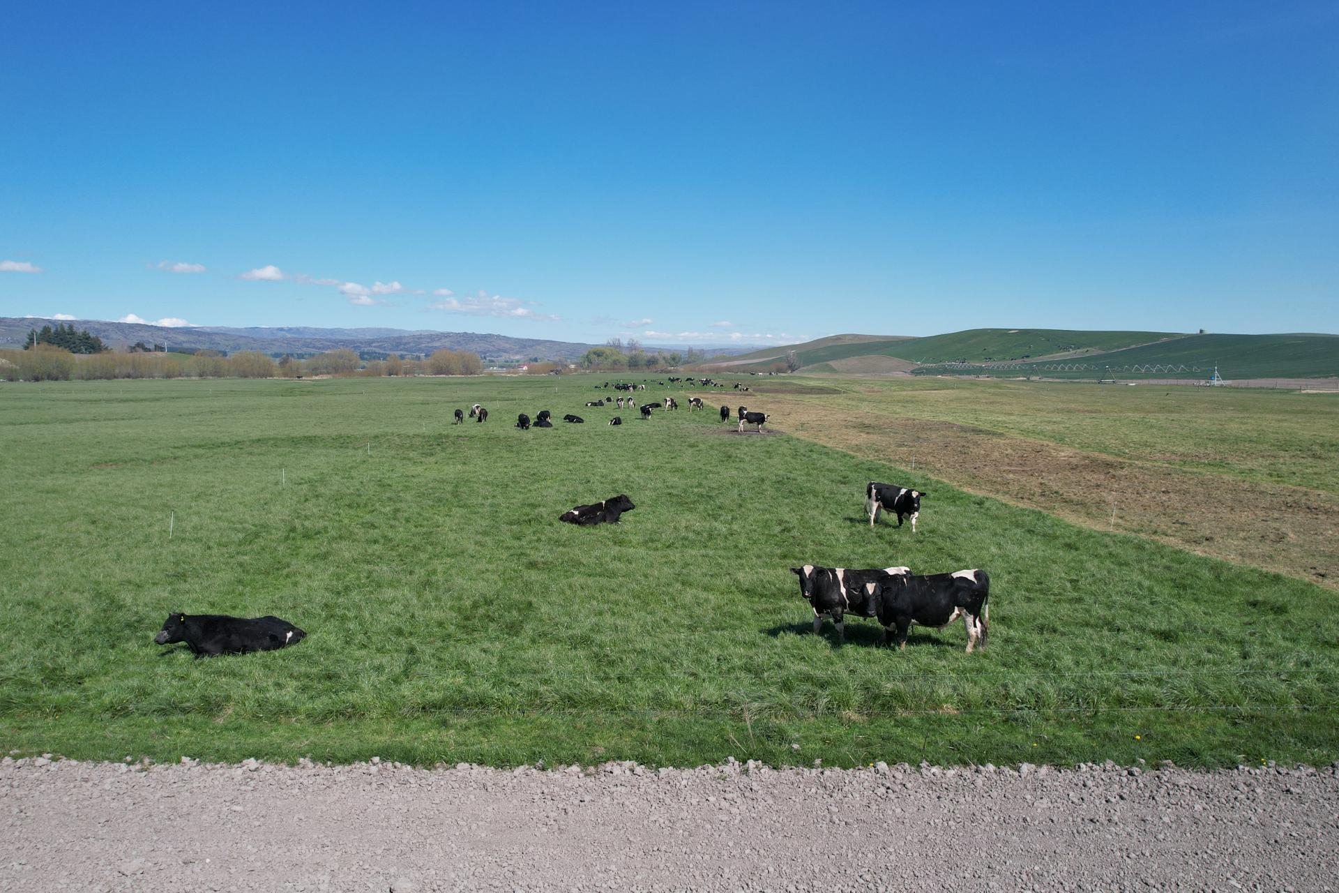 51 Saint Bathans Loop Road, Becks