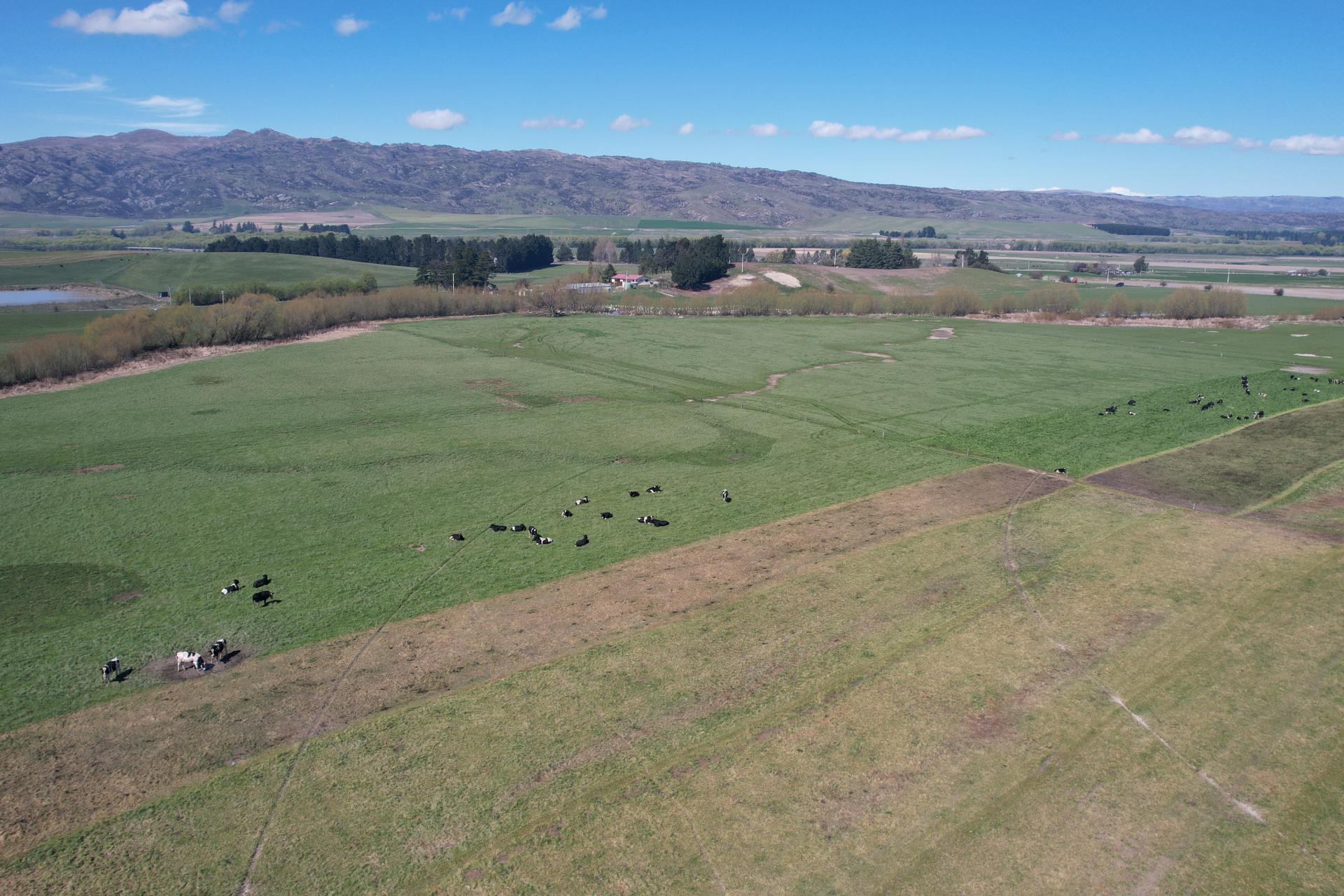 51 Saint Bathans Loop Road, Becks