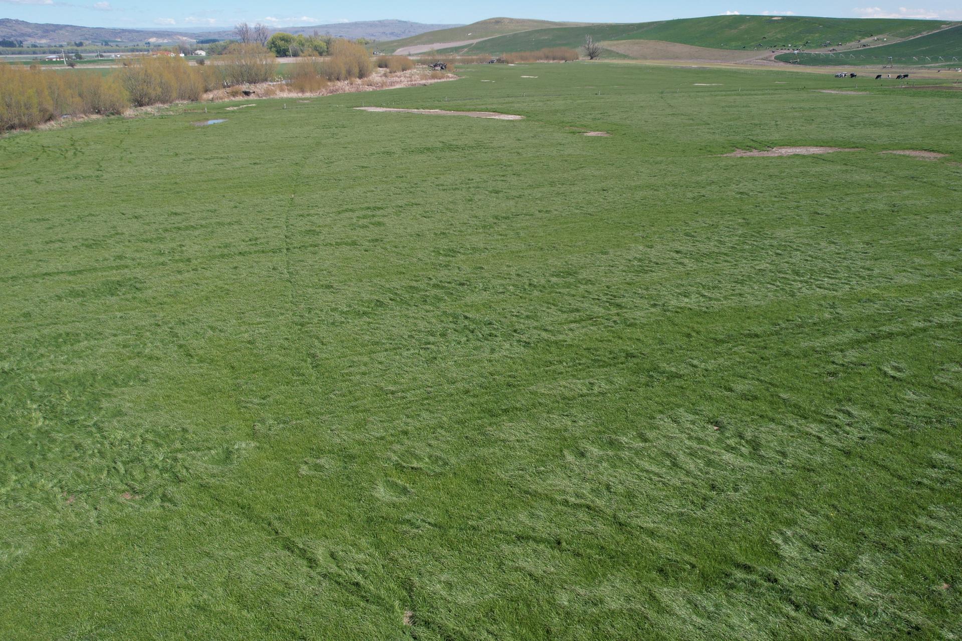 51 Saint Bathans Loop Road, Becks