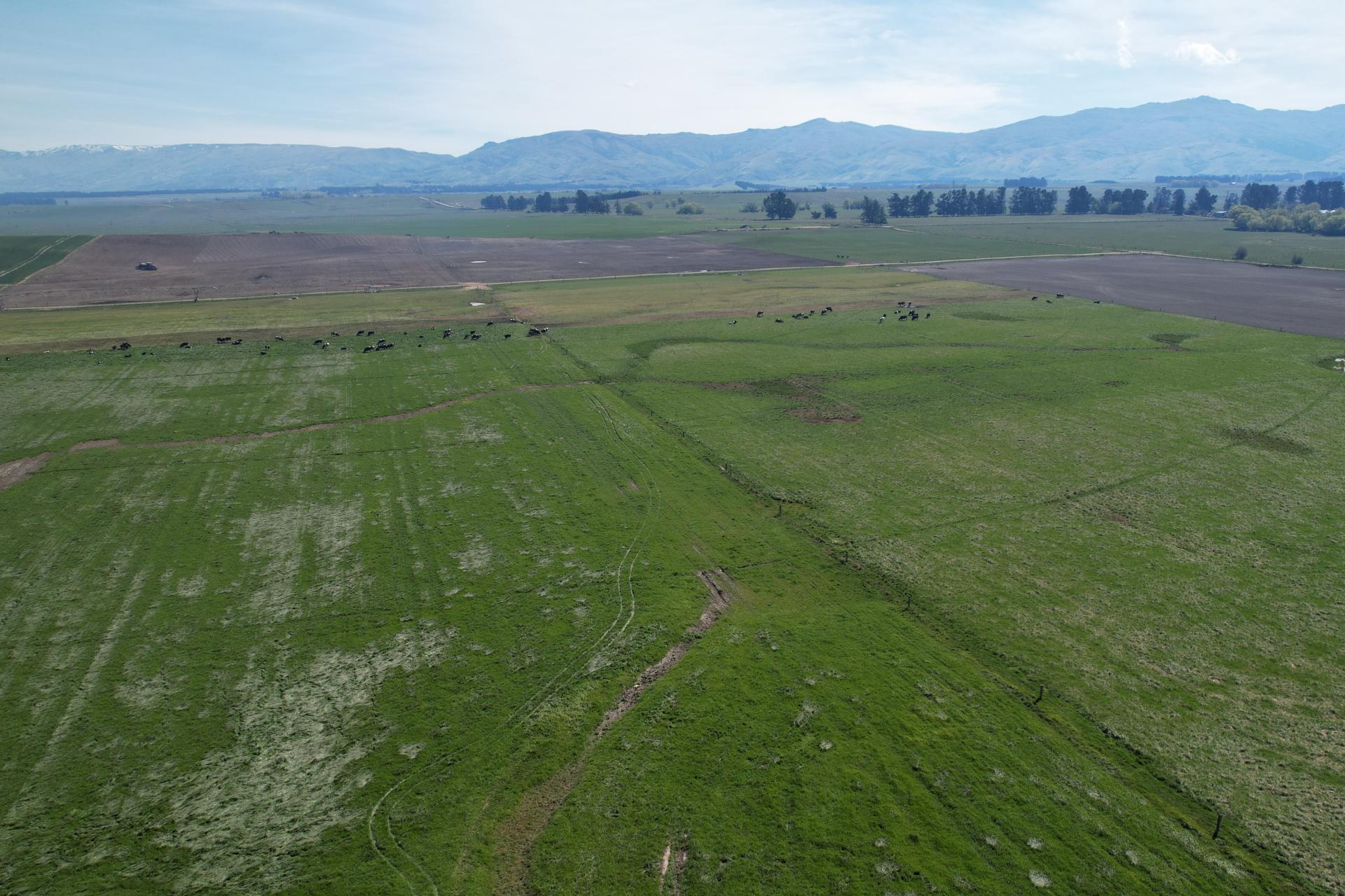 51 Saint Bathans Loop Road, Becks