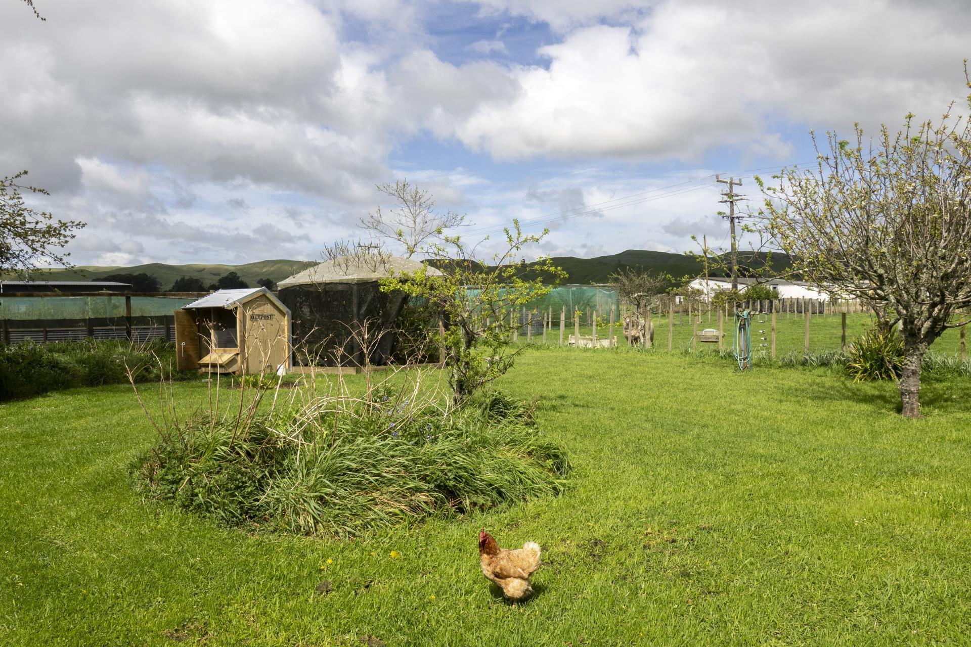 91 Stanly Street, Eketahuna
