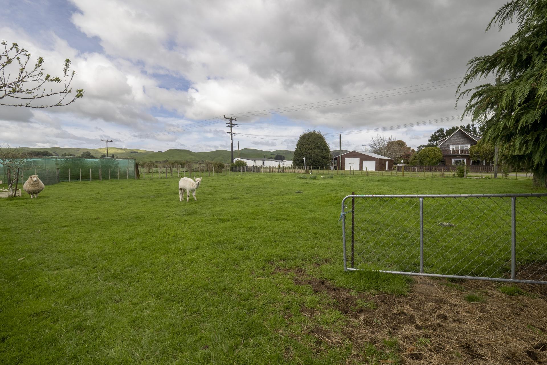 91 Stanly Street, Eketahuna