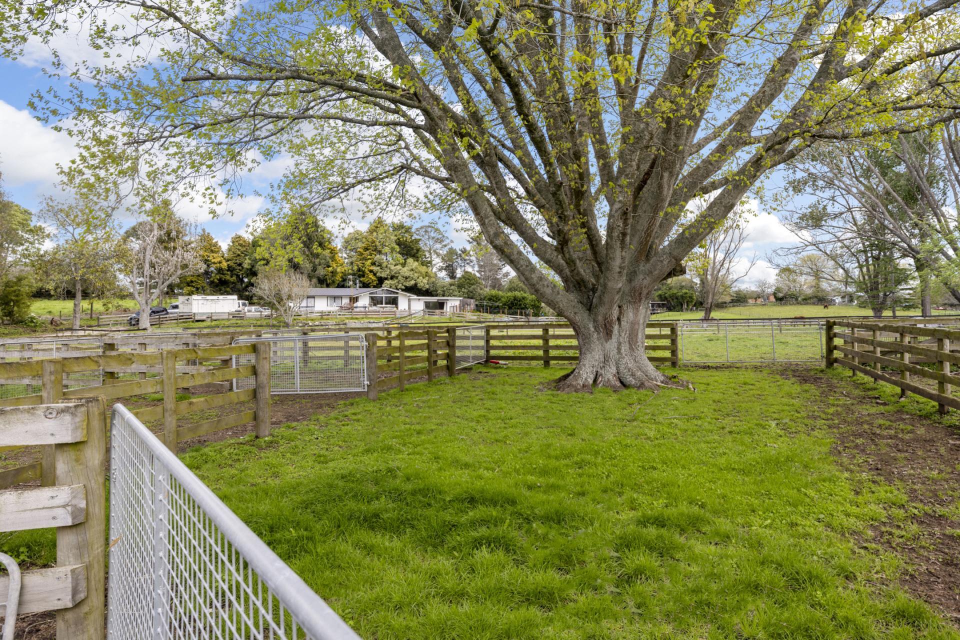26 Goile Road, Ngahinapouri