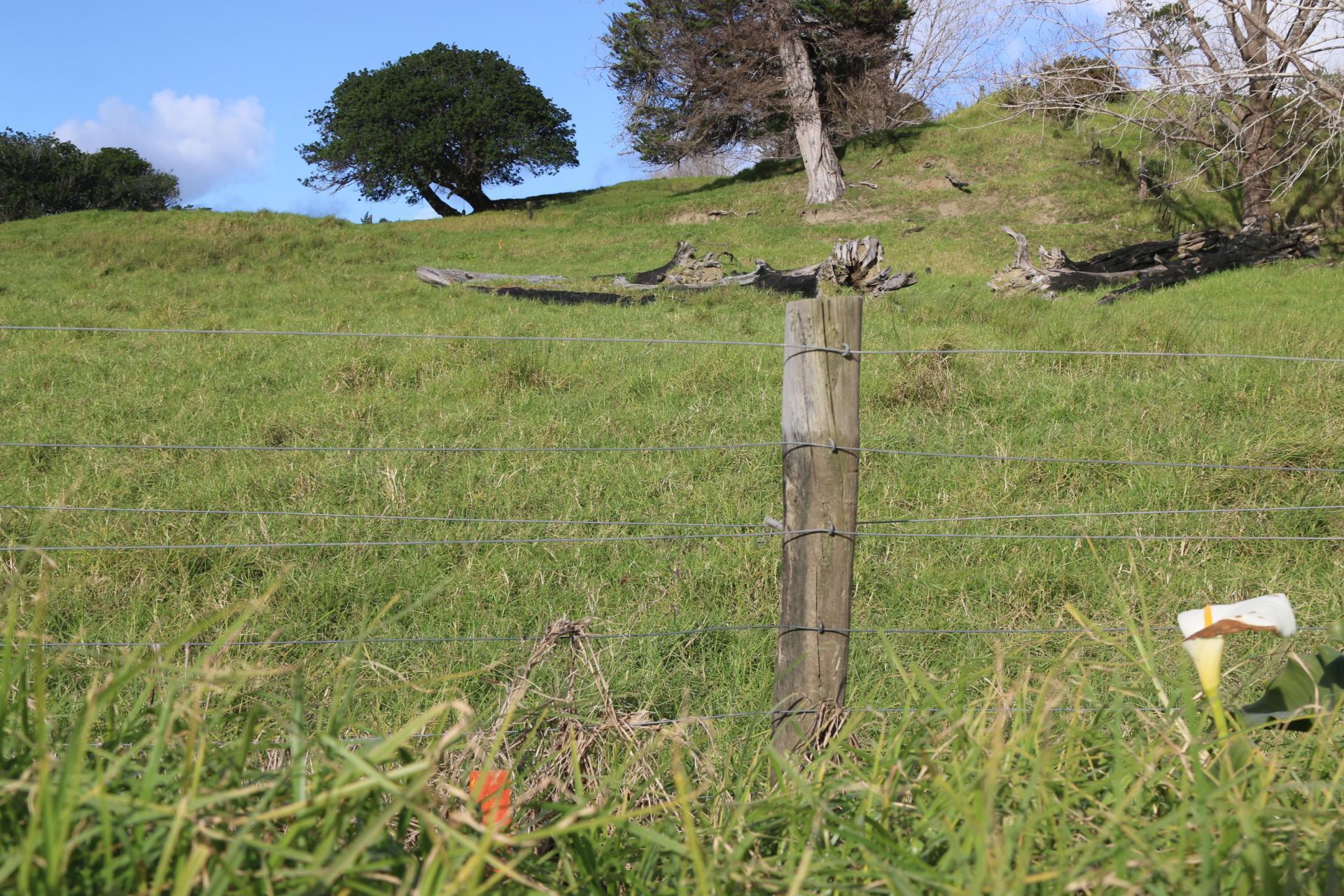 Lot 1 Motukiore Road, Horeke
