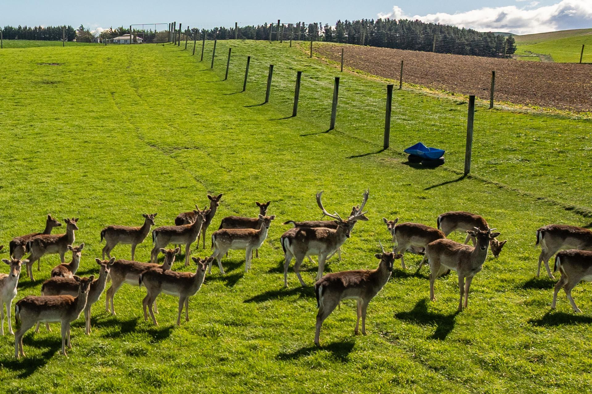 44 Limeworks Road, Waikari