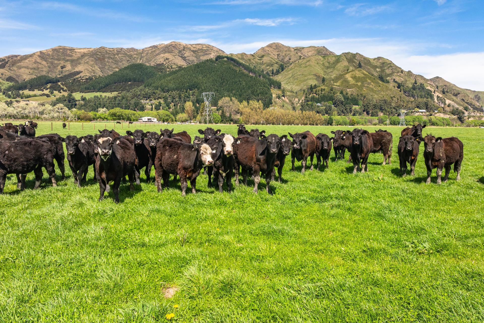 10 Chatterton Road, Hanmer Springs