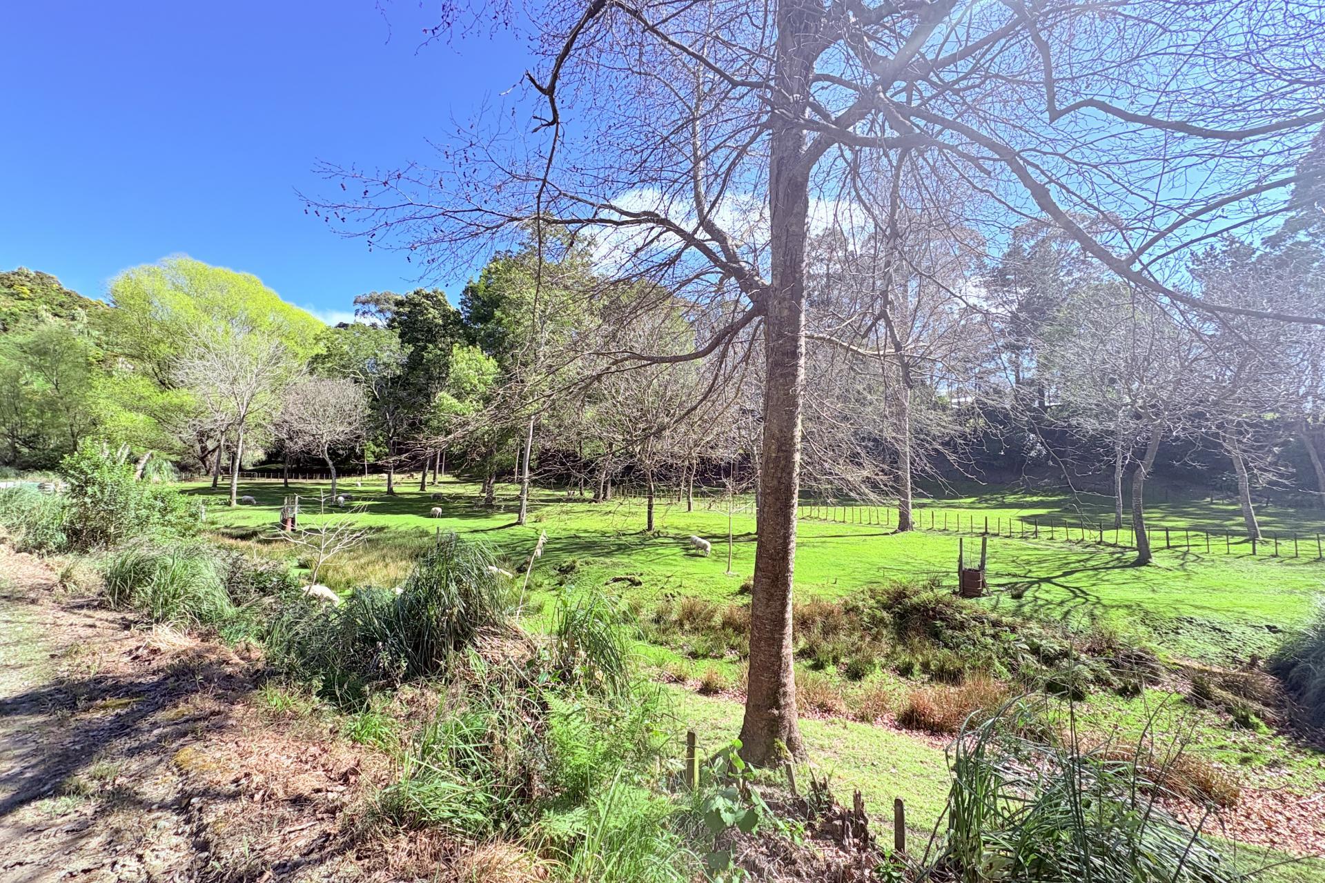1793 Mohaka Coach Road, Mohaka