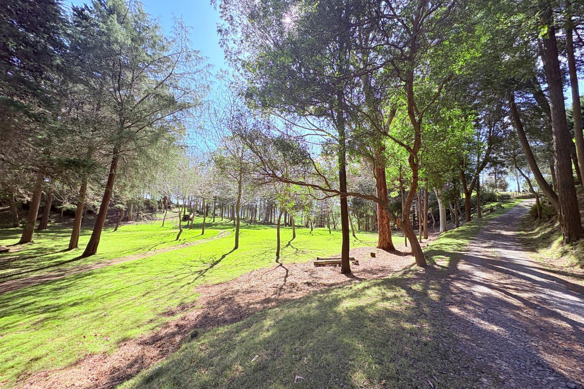 1793 Mohaka Coach Road, Mohaka