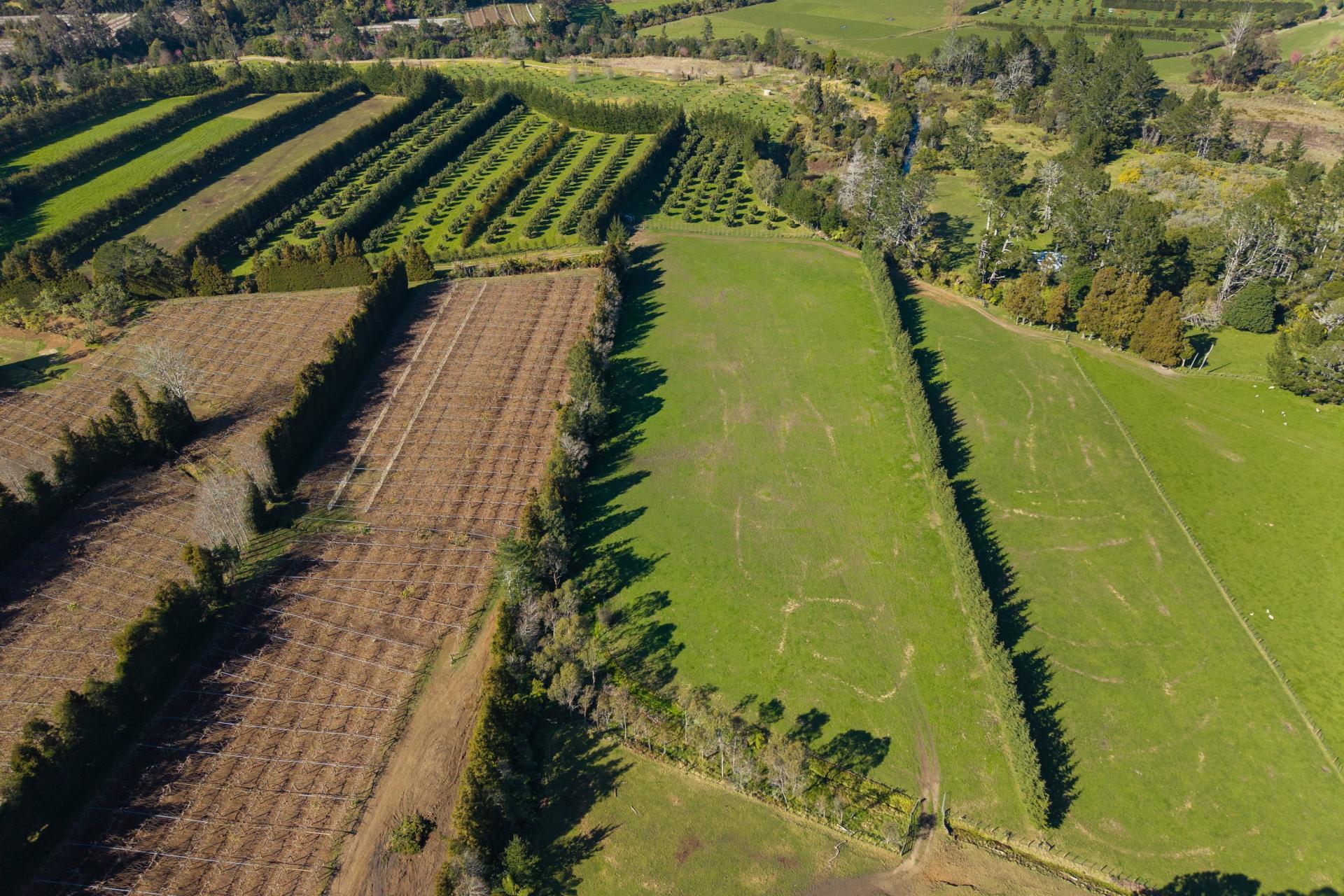 353 Lockington Road, Aongatete