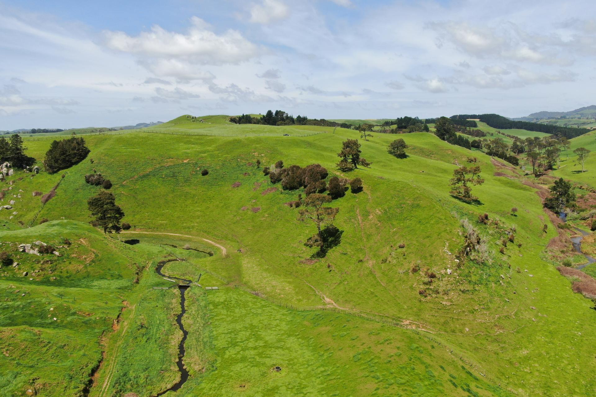 782 Mangare Road, Wharepapa South