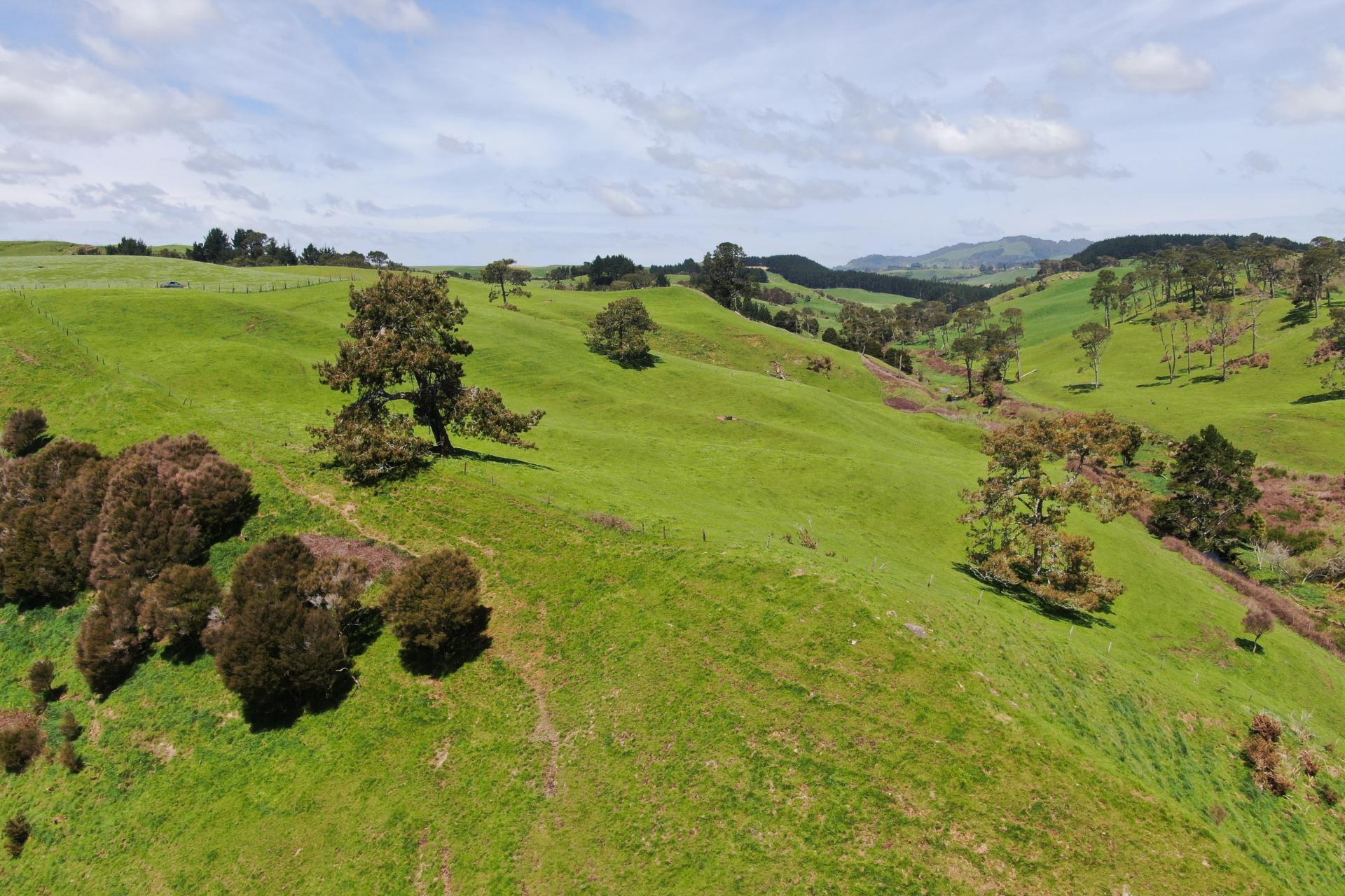 782 Mangare Road, Wharepapa South