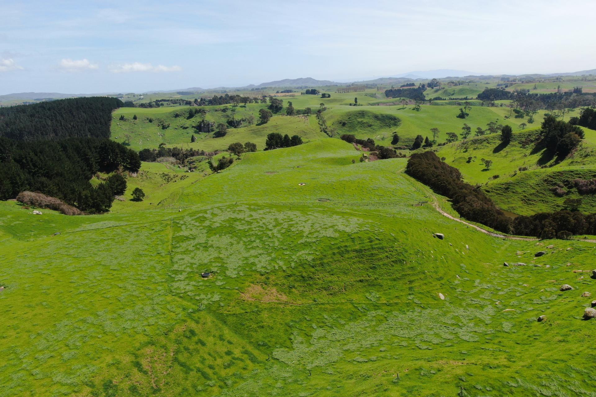 782 Mangare Road, Wharepapa South