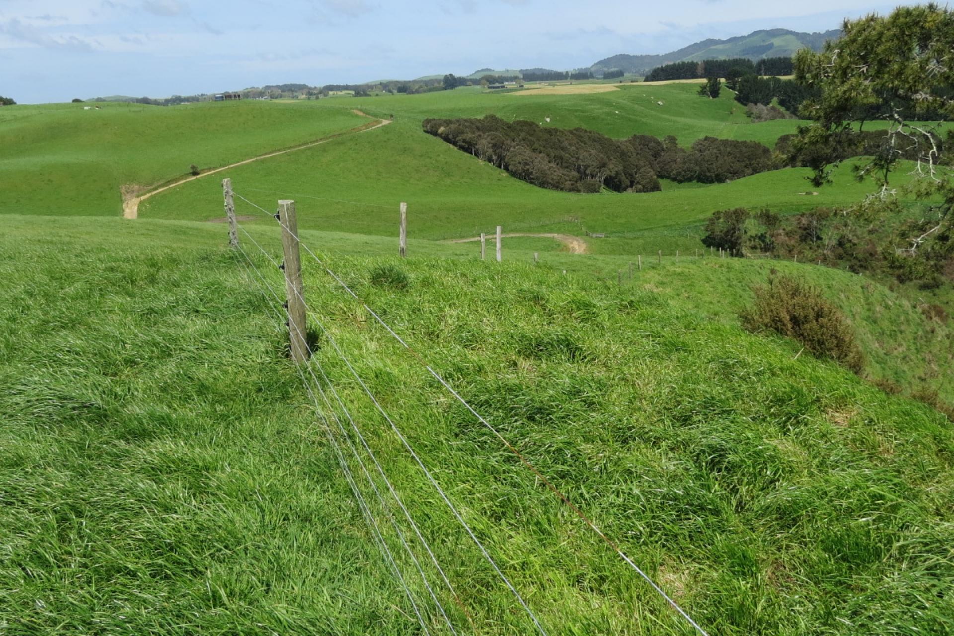 782 Mangare Road, Wharepapa South