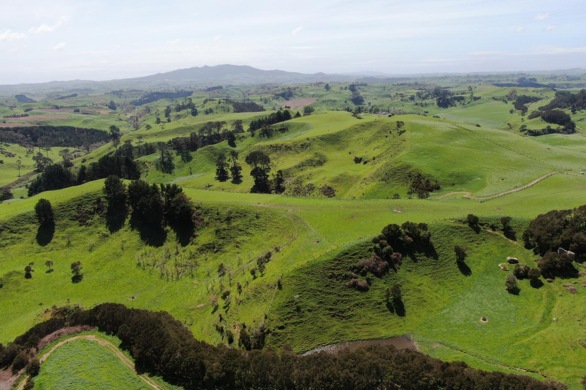 782 Mangare Road, Wharepapa South