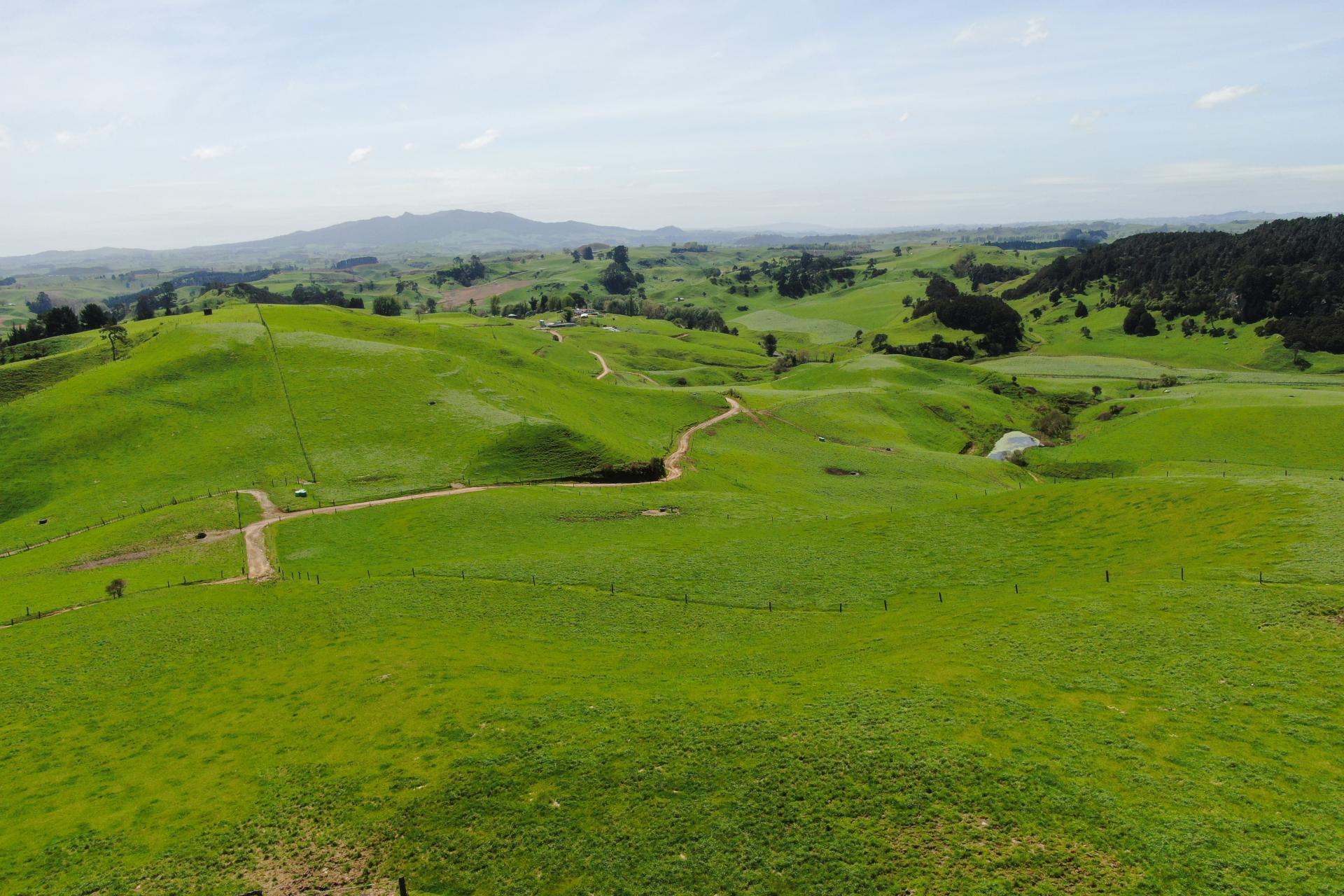 782 Mangare Road, Wharepapa South