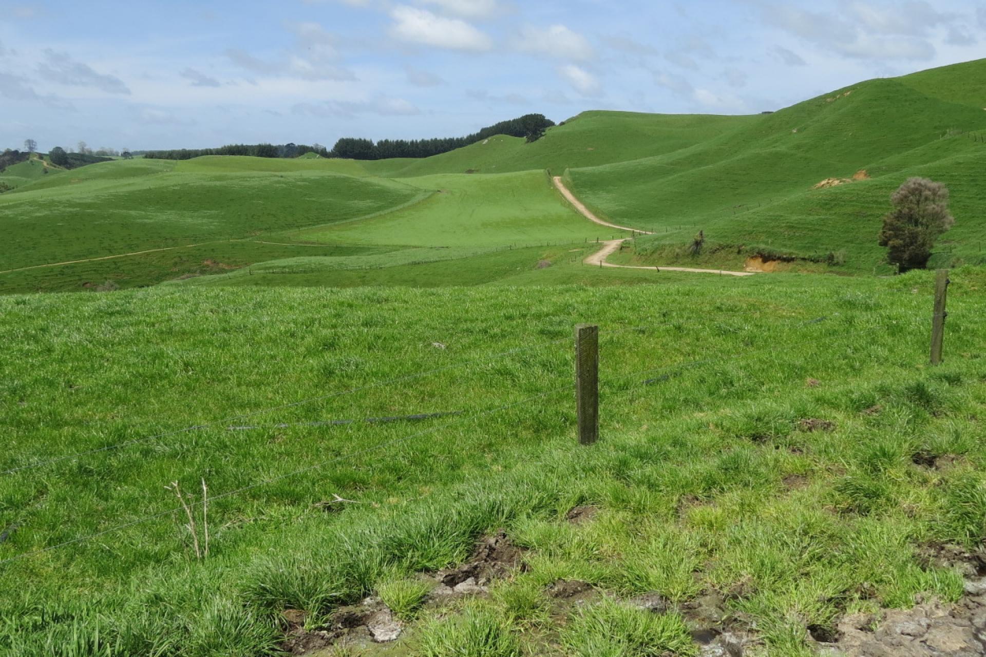 782 Mangare Road, Wharepapa South